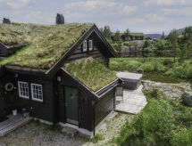 Ferienhaus Fjellheimen