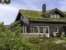 Ferienhaus Fjellheimen