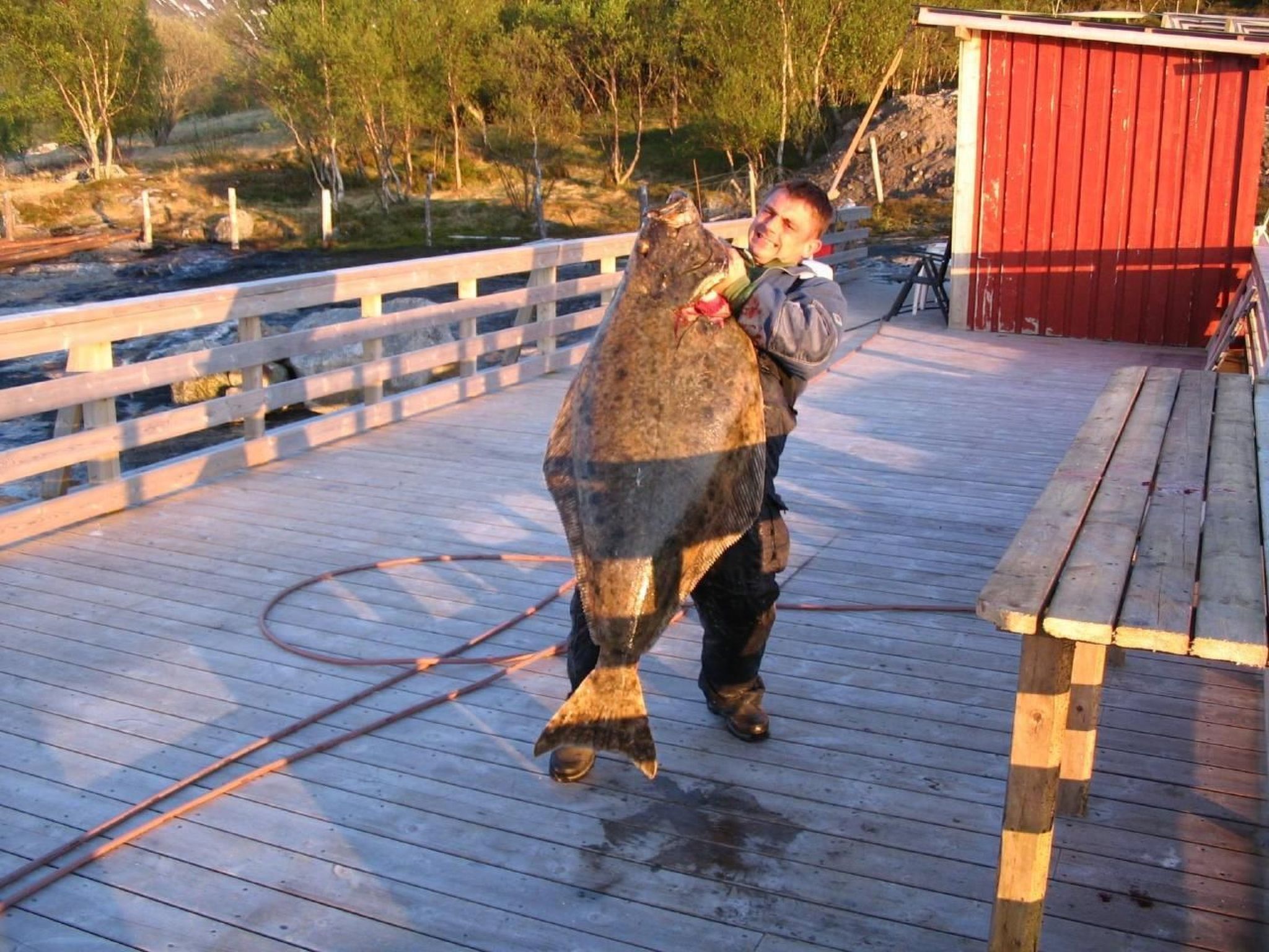 Nesset, Meløy Naturerlebnisse-Buiten