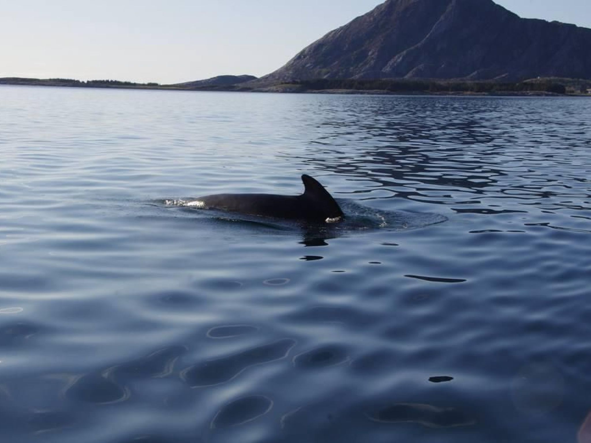Nesset, Meløy Naturerlebnisse-Buiten