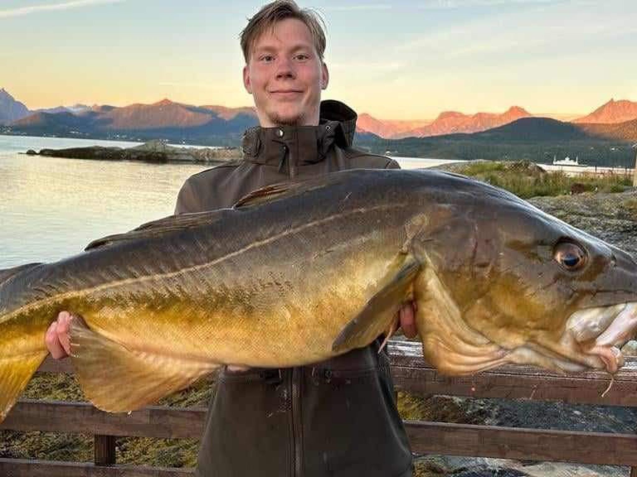 Nesset, Meløy Naturerlebnisse-Image-tags.info