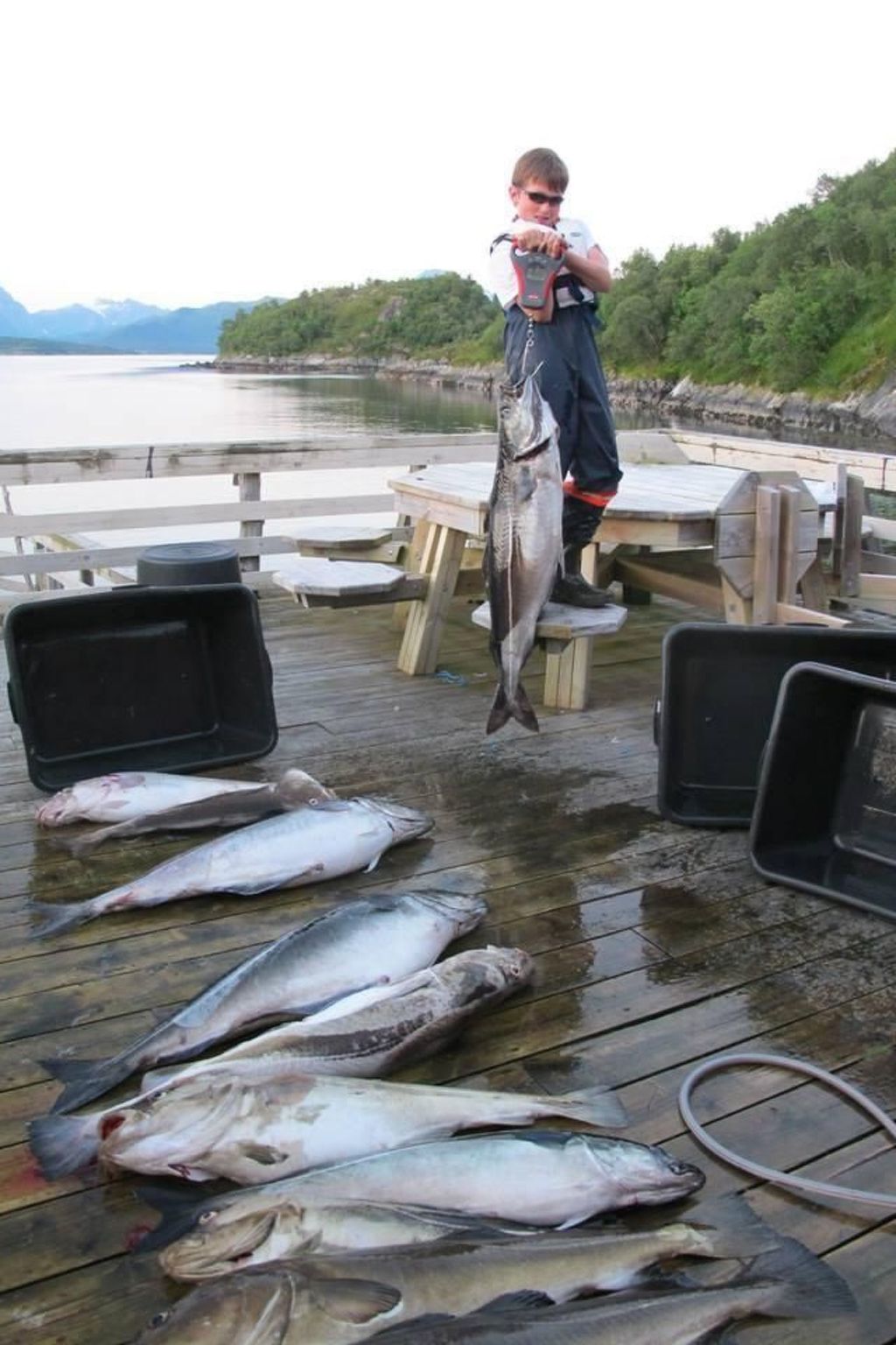 Meløy Naturopplevelser Tømmervik-Image-tags.info