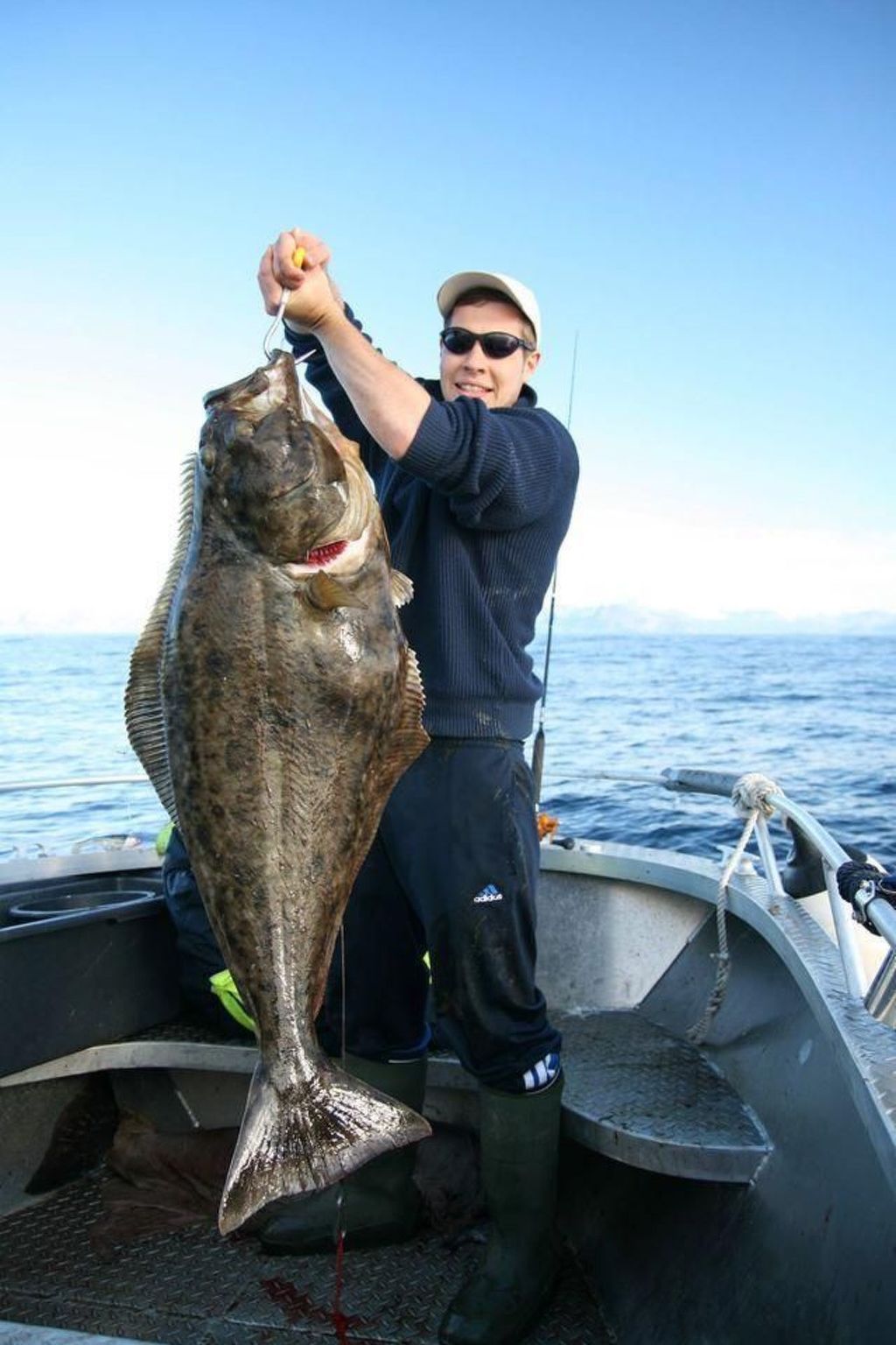 Meløy Naturopplevelser Tømmervik-Image-tags.info