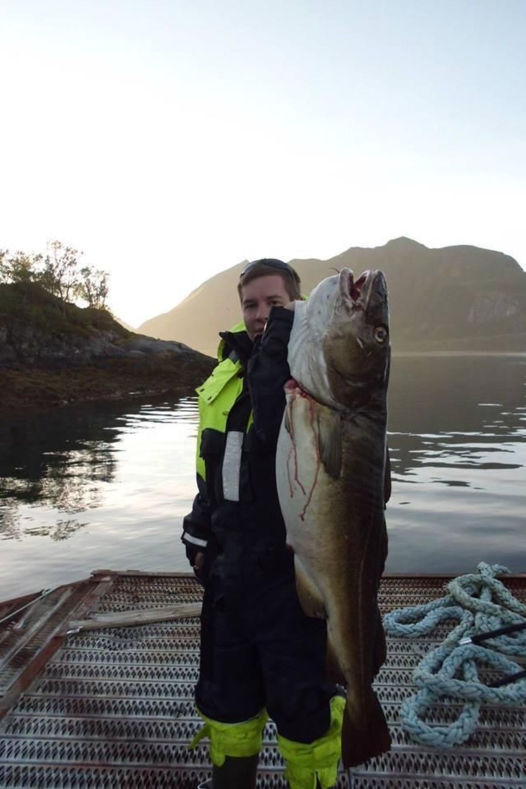 Meløy Naturopplevelser Tømmervik-Image-tags.info