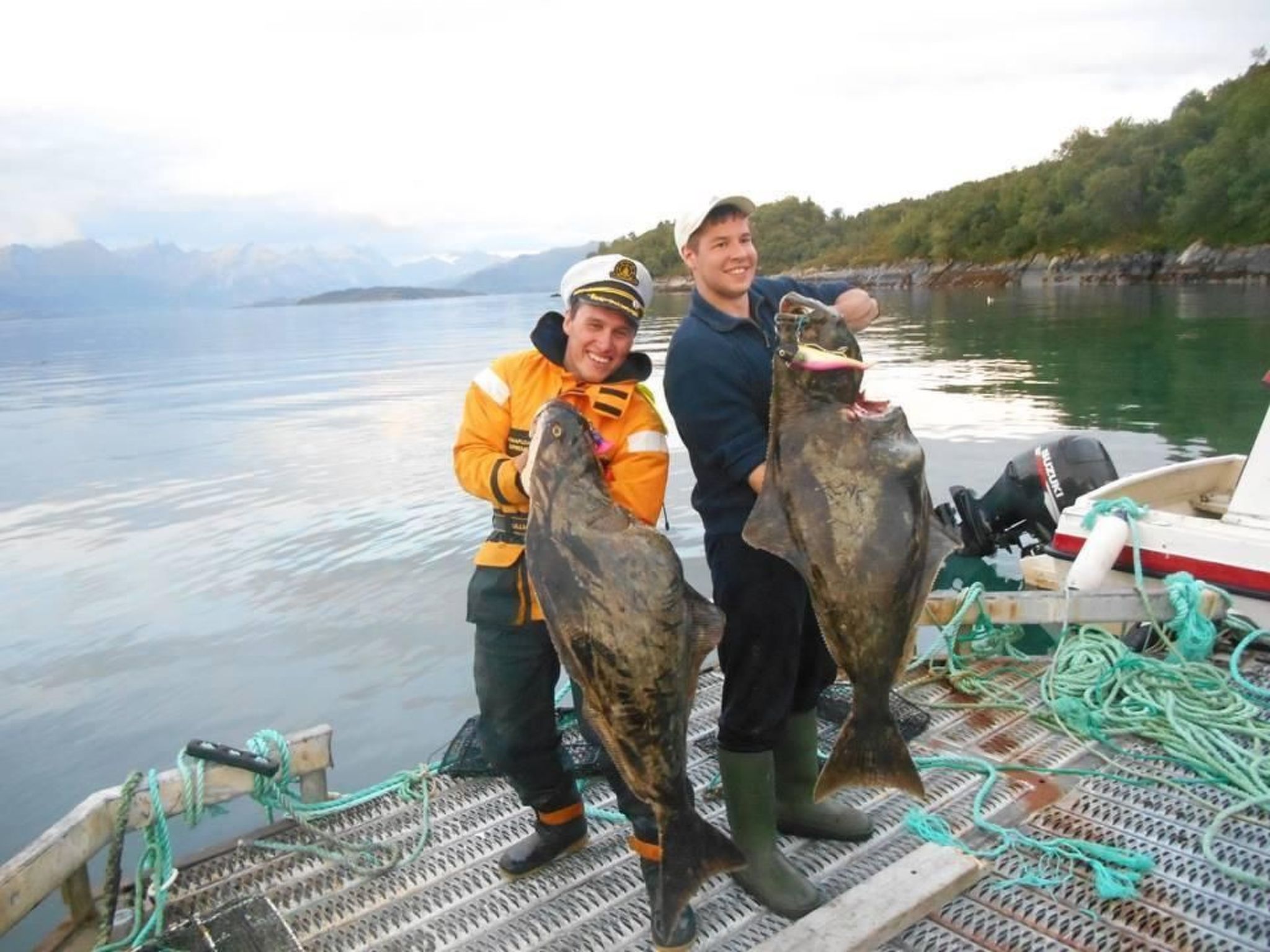 Meløy Naturopplevelser Tømmervik-Image-tags.info
