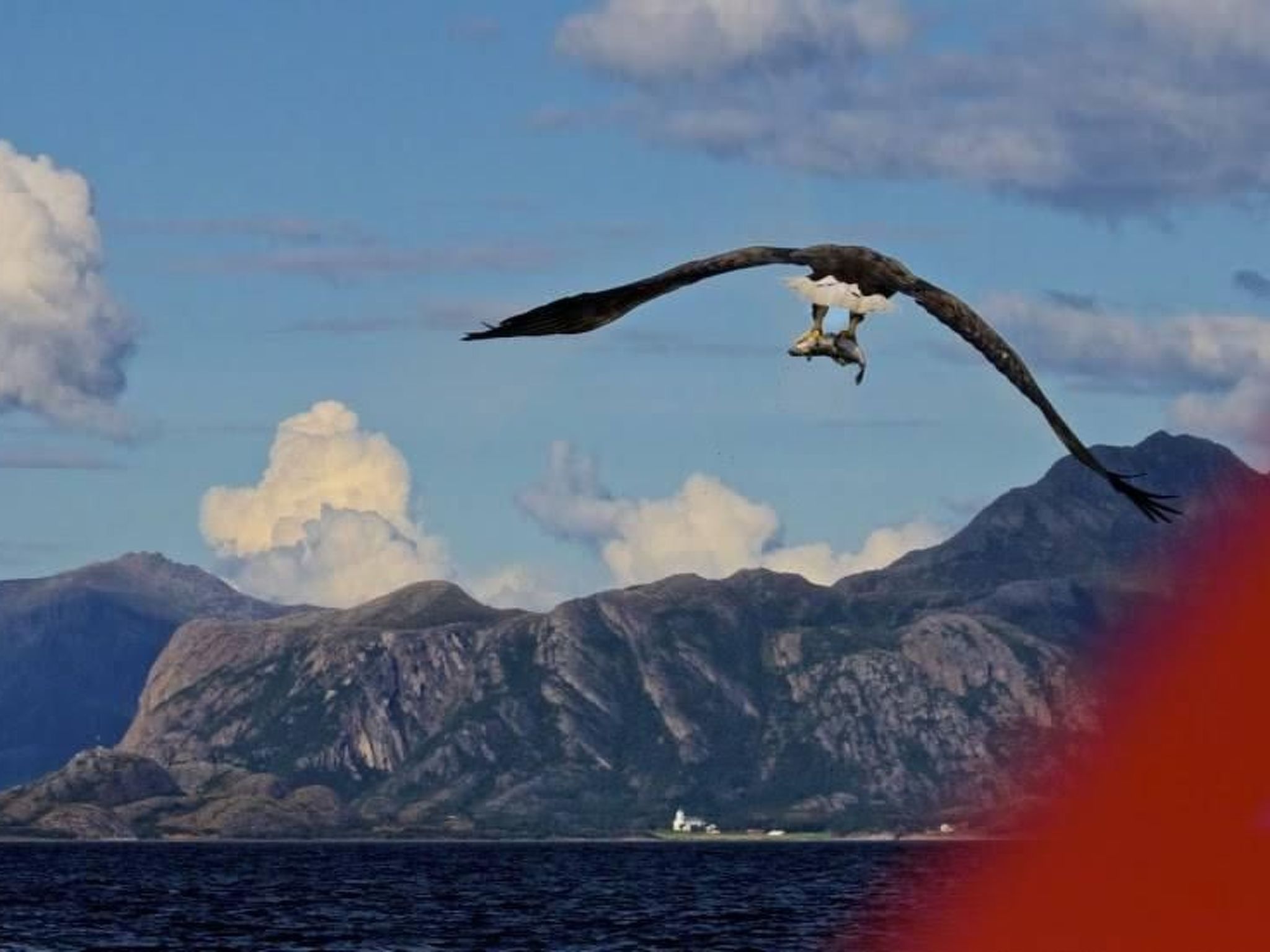 Meløy Naturopplevelser Tømmervik-Image-tags.info