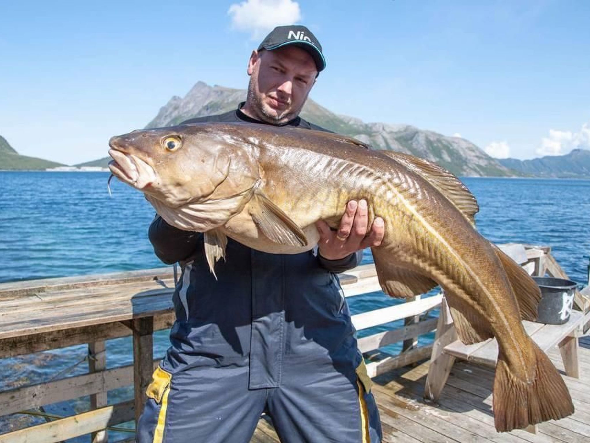 Meløy Naturopplevelser Tømmervik-Image-tags.info