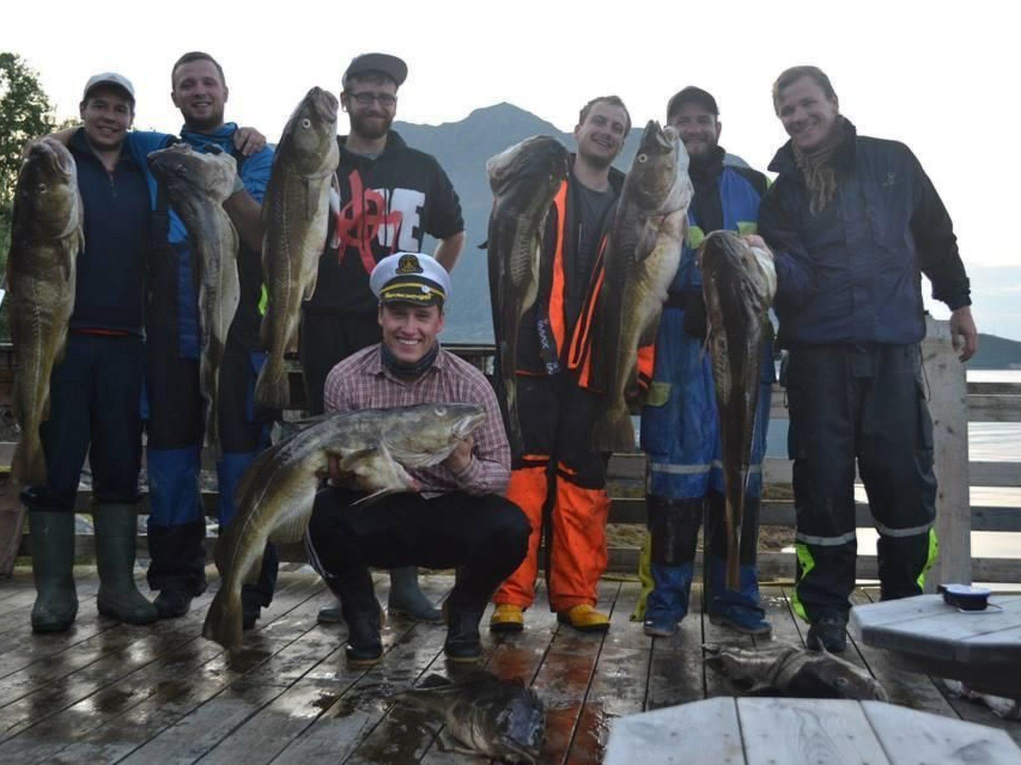 Meløy Naturopplevelser Tømmervik-Image-tags.info