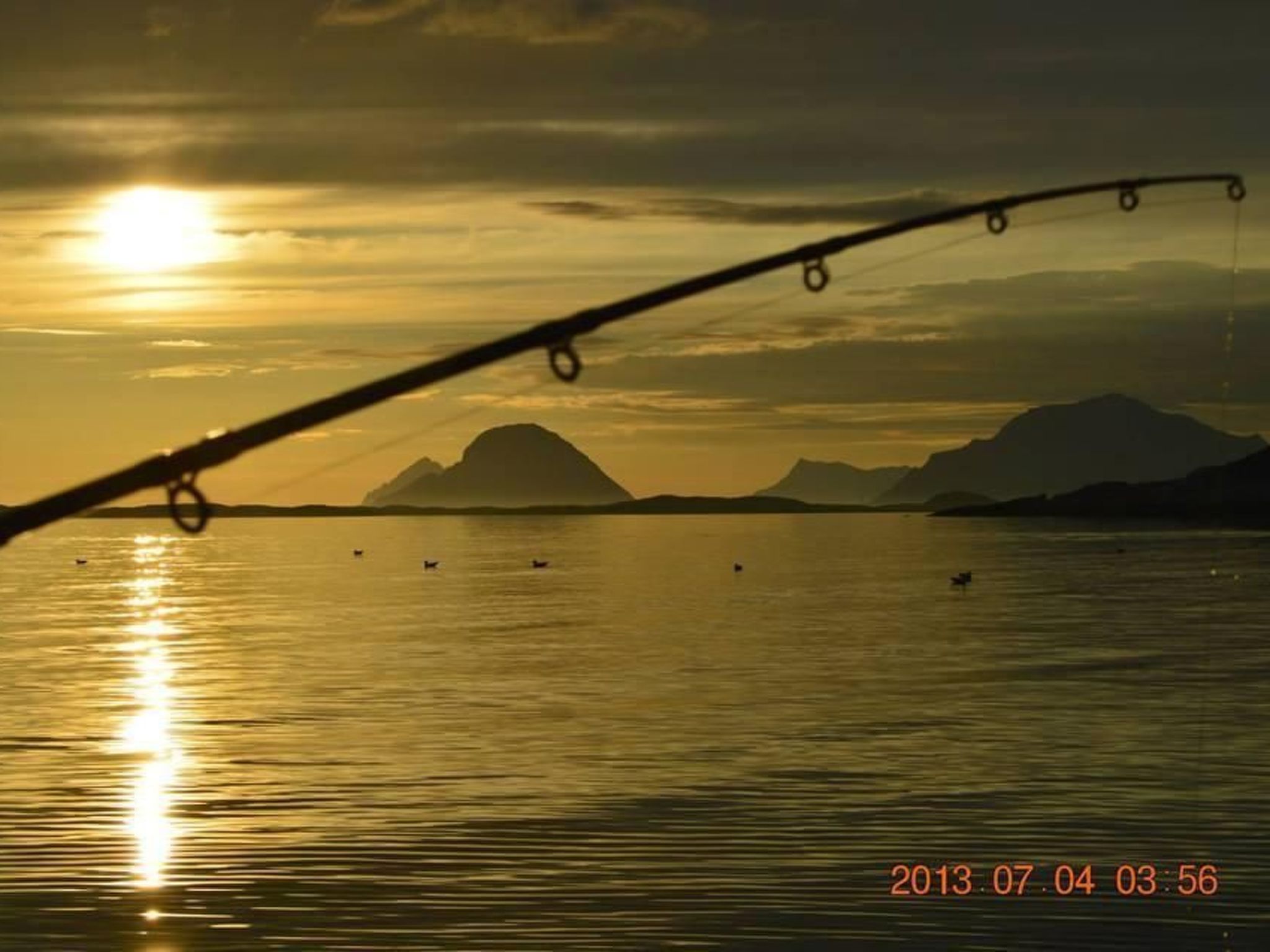 Meløy Naturopplevelser Tømmervik-Image-tags.info