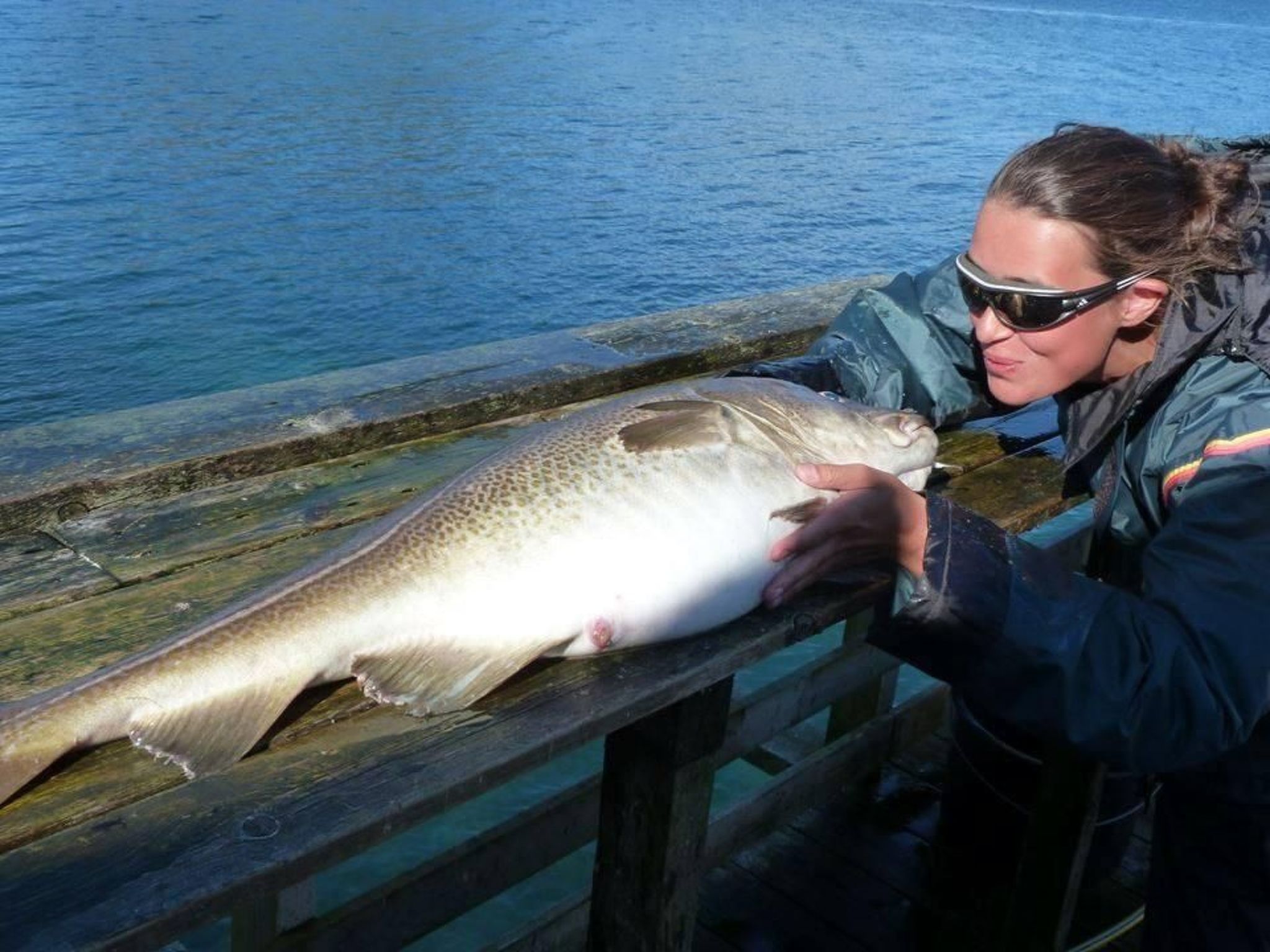 Meløy Naturopplevelser Tømmervik-Image-tags.info