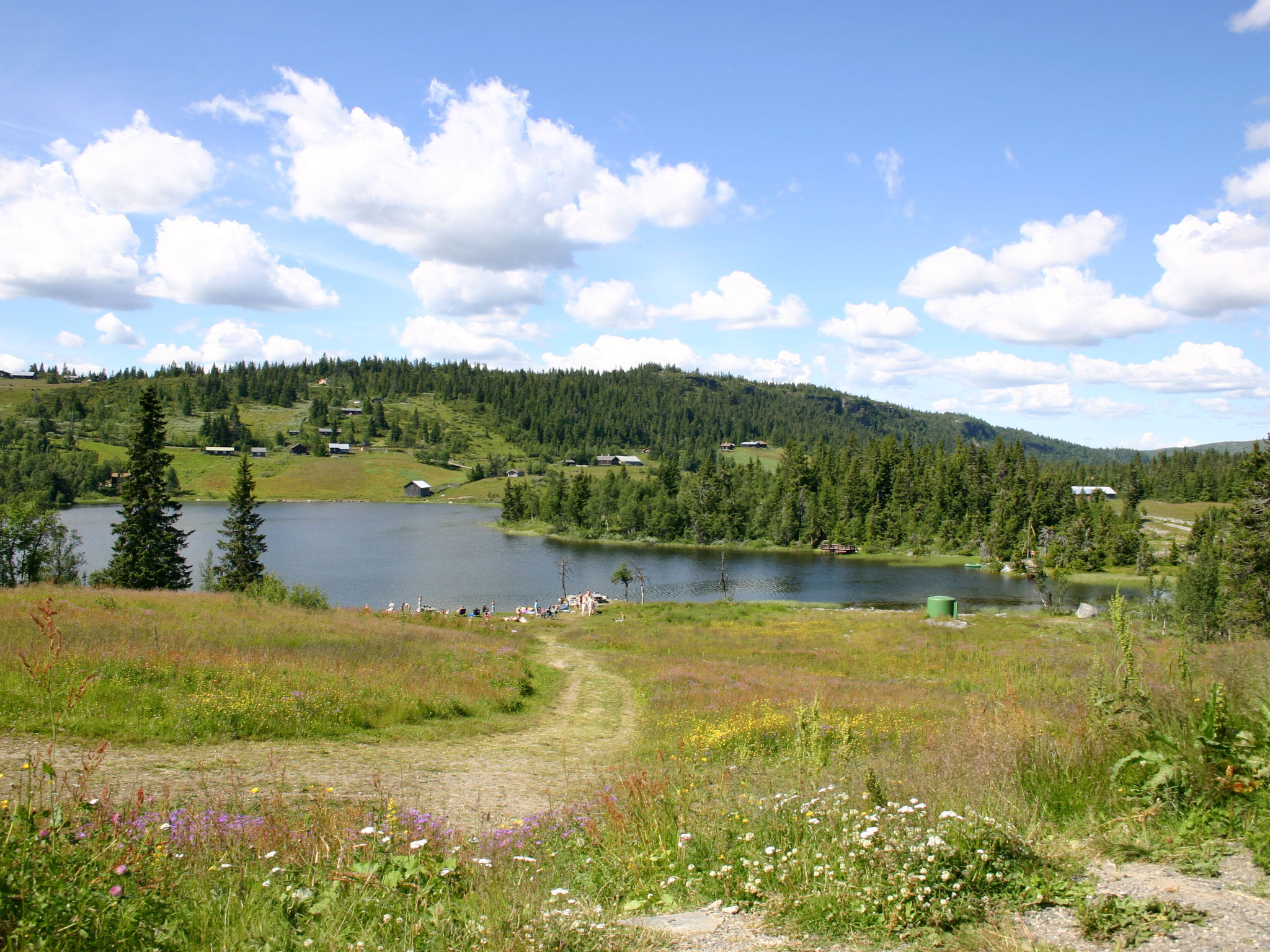 Photo of Skeisvegen