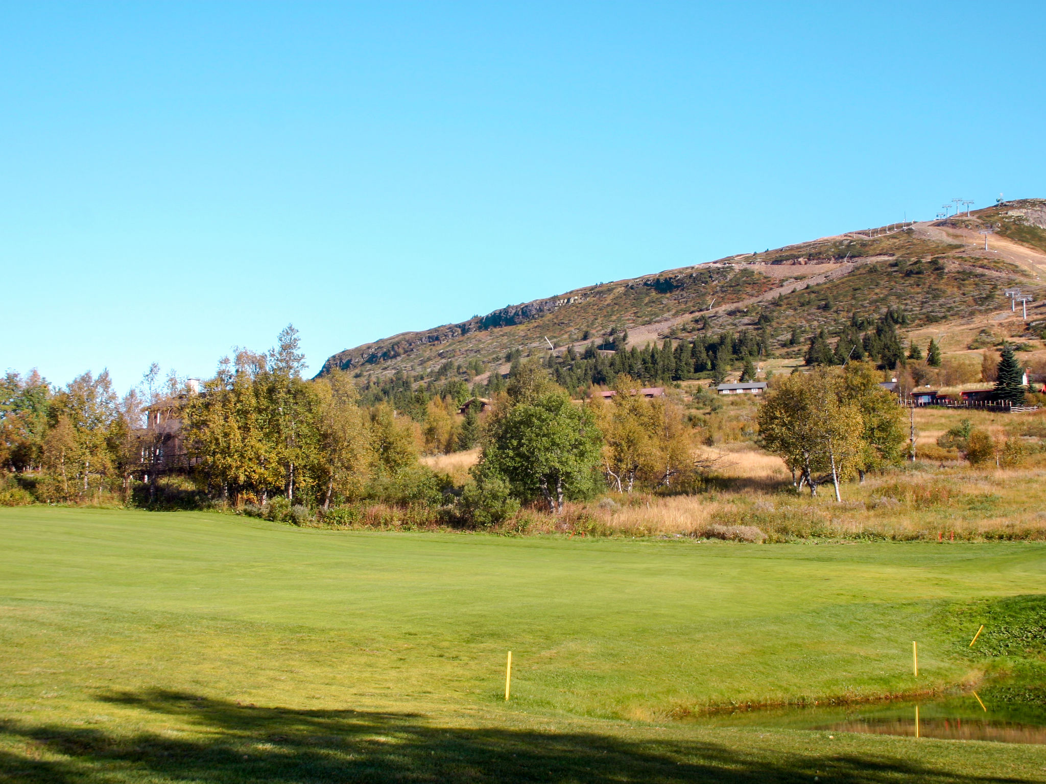 Photo of Liaråket
