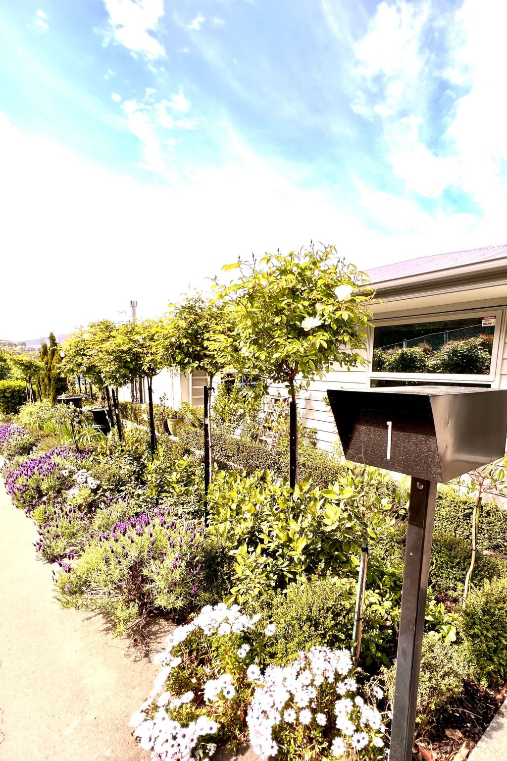 Maison Lyttelton Boatique House – Extérieur de la maison, photo 33 sur 38