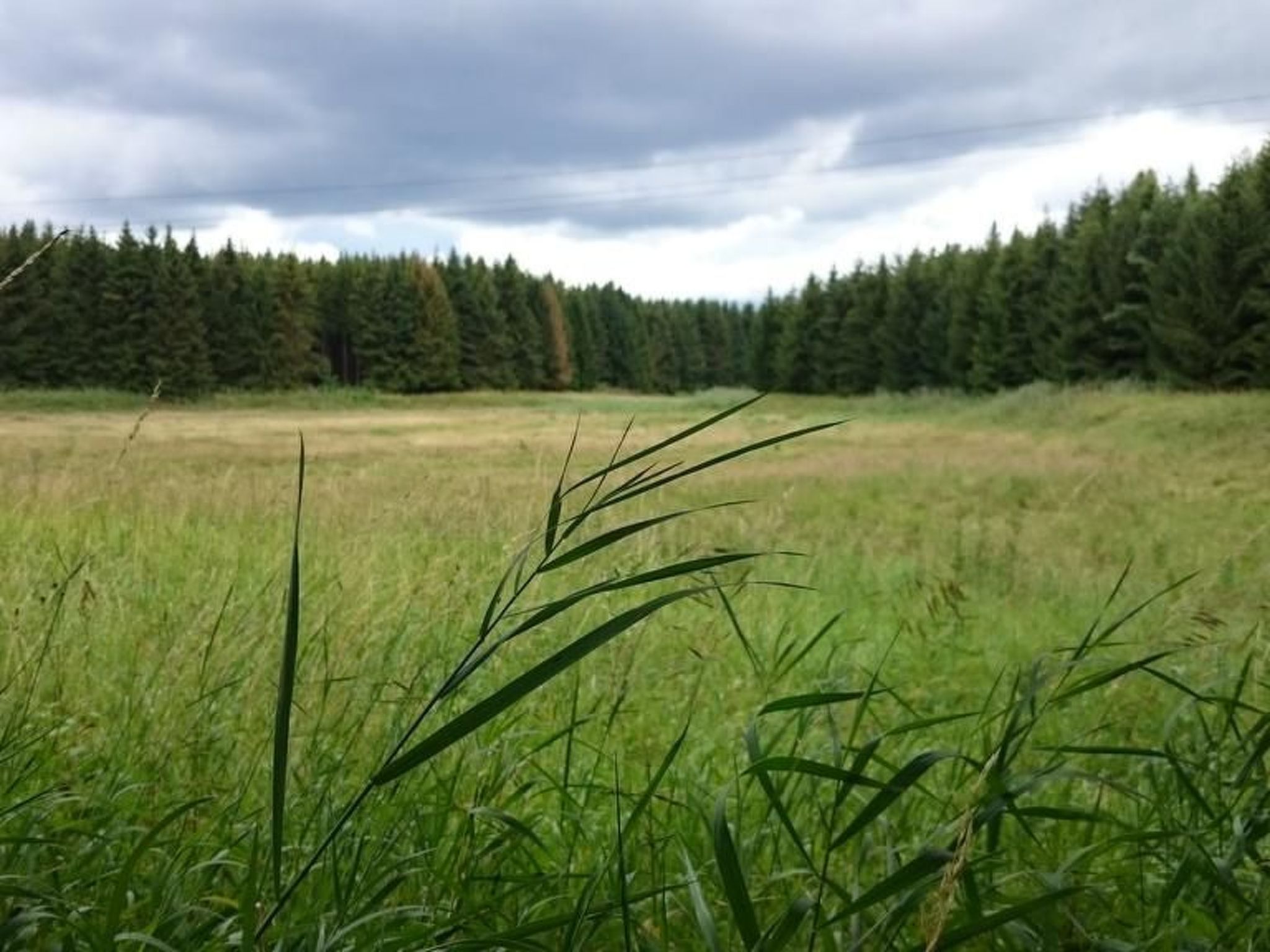 Gemütliche Ferienwohnung im Grünen am See-Image-tags.info