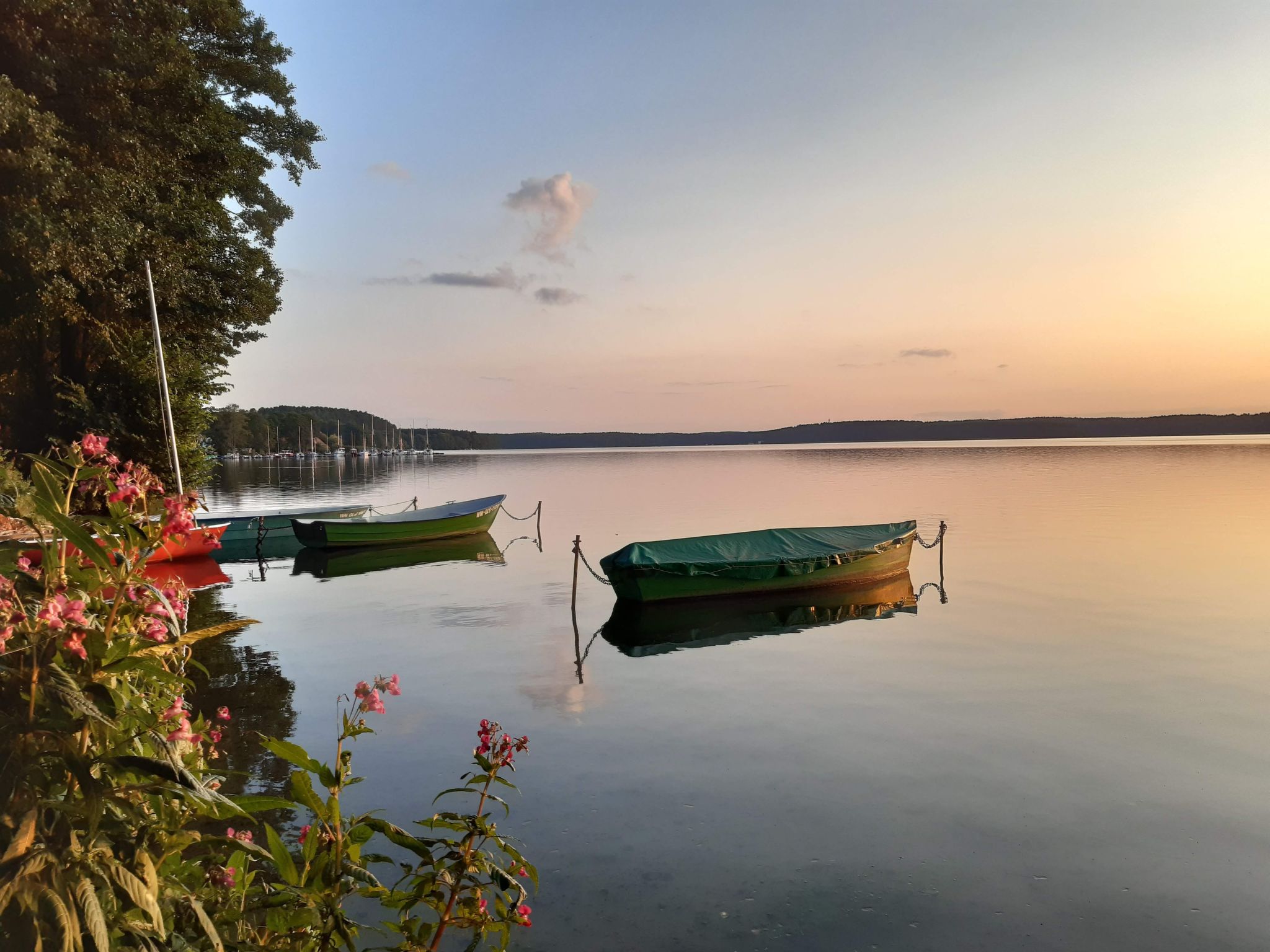 Fachwerkhaus "Paula" mit Blick auf das Wasser-Binnen
