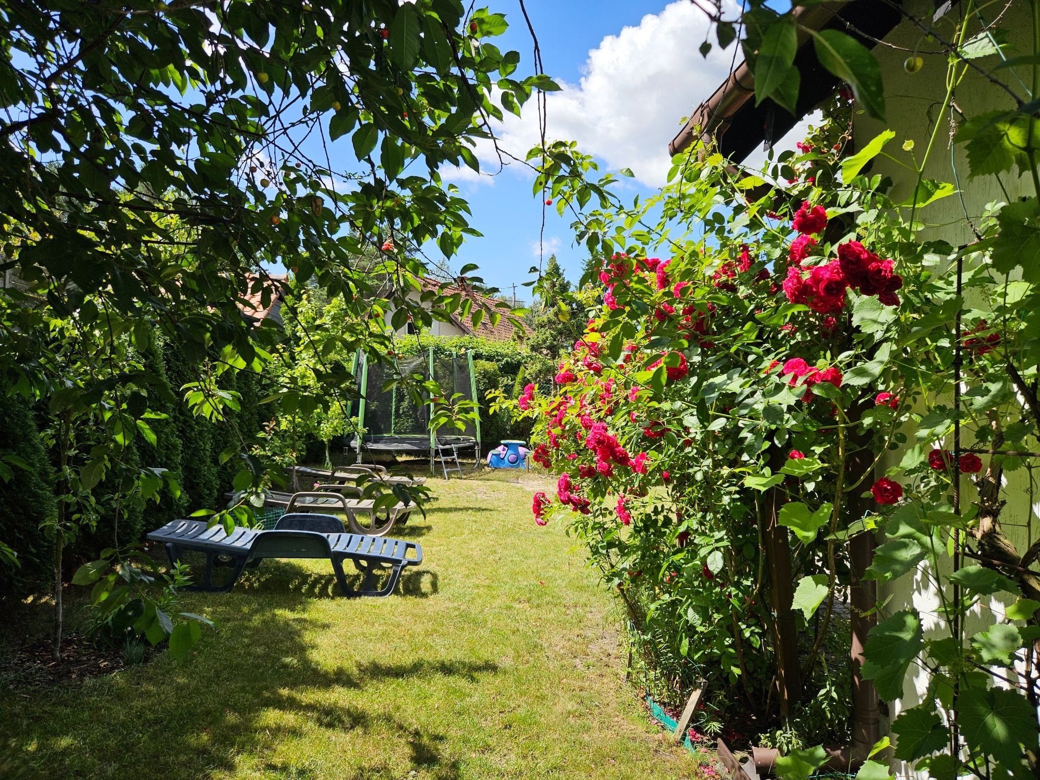 Fachwerkhaus "Paula" mit Blick auf das Wasser-Binnen