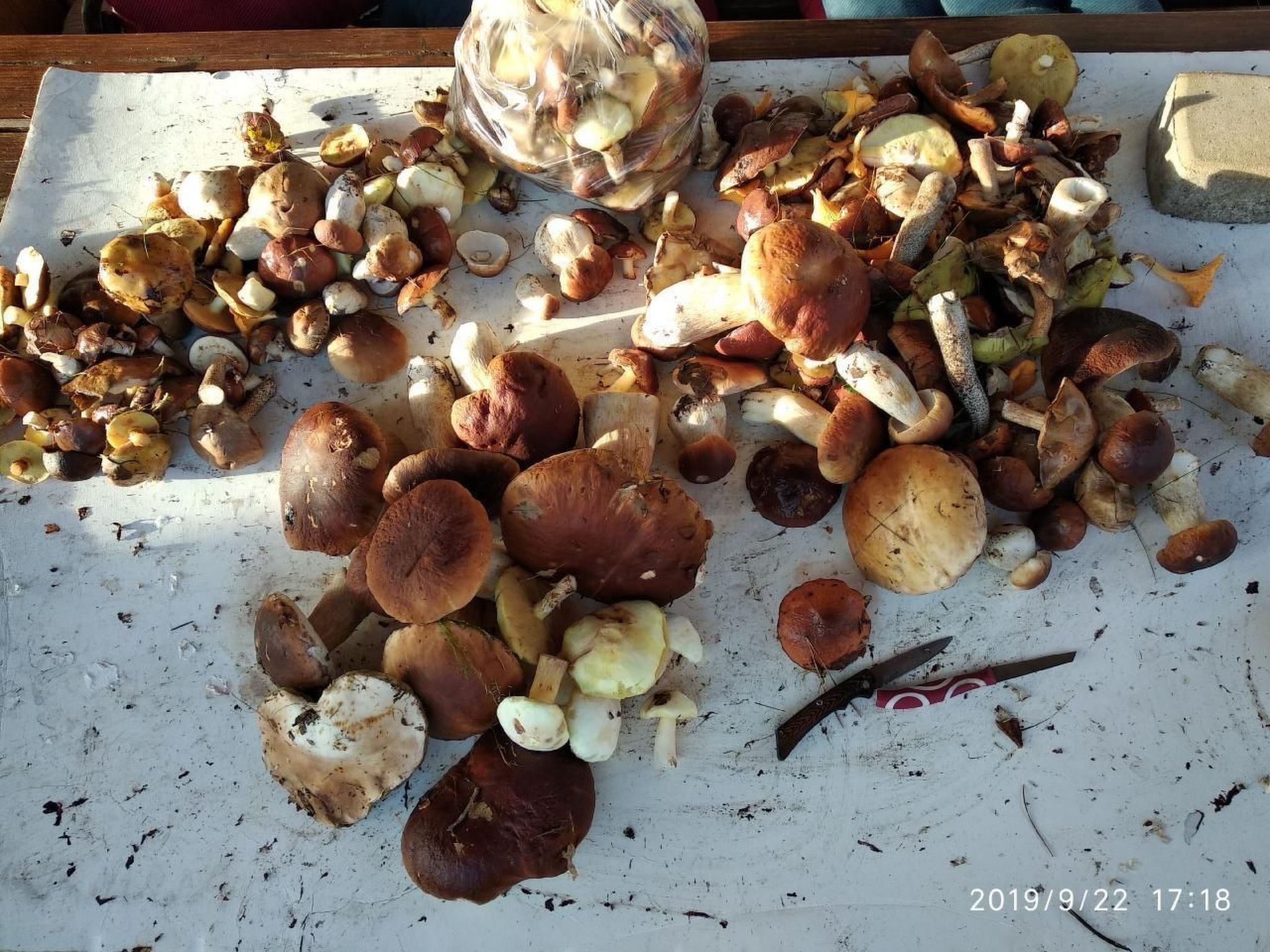 Ferienvilla "Villa Jolanta" mit Sauna-Binnen