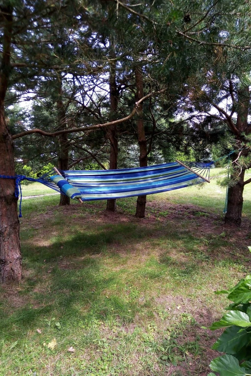 Ideal für Familien - Ruhe und Entspannung-Buiten