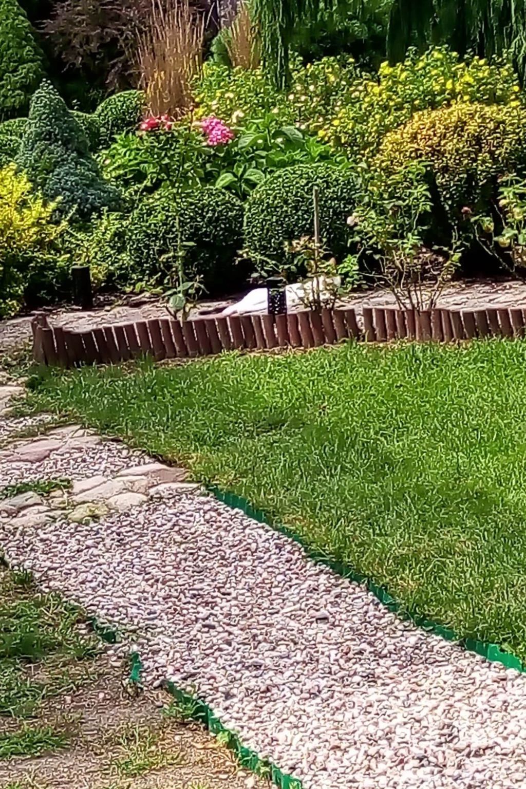 Ideal für Familien - Ruhe und Entspannung-Buiten