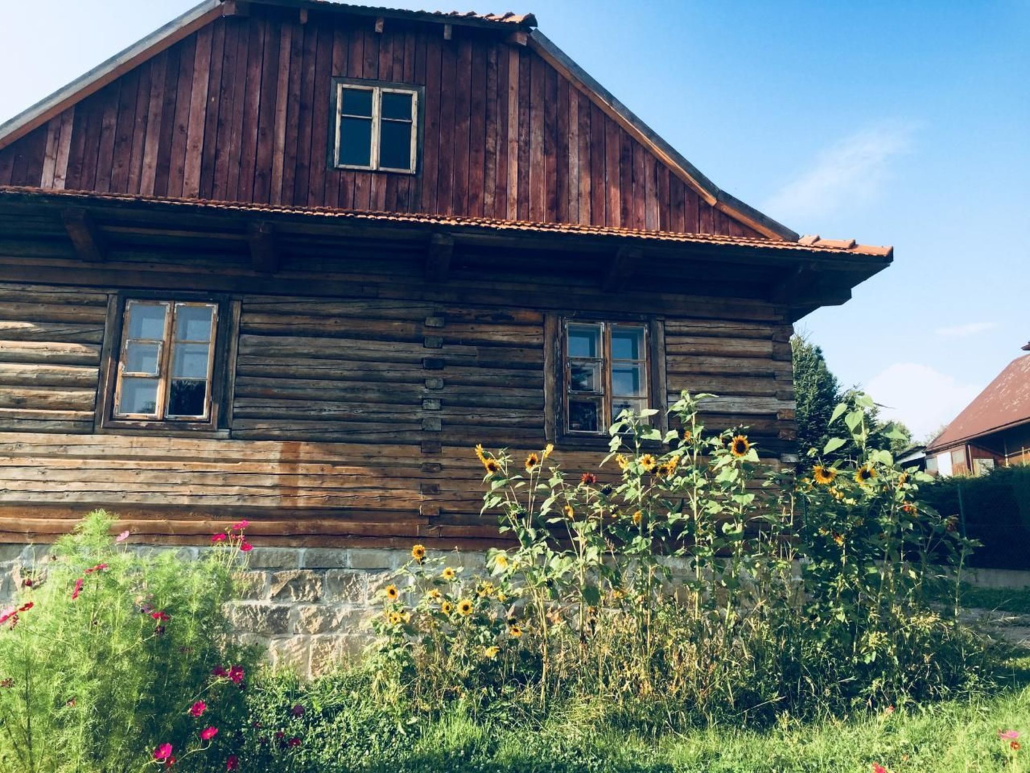 Mit Wasserblick-Image-tags.info