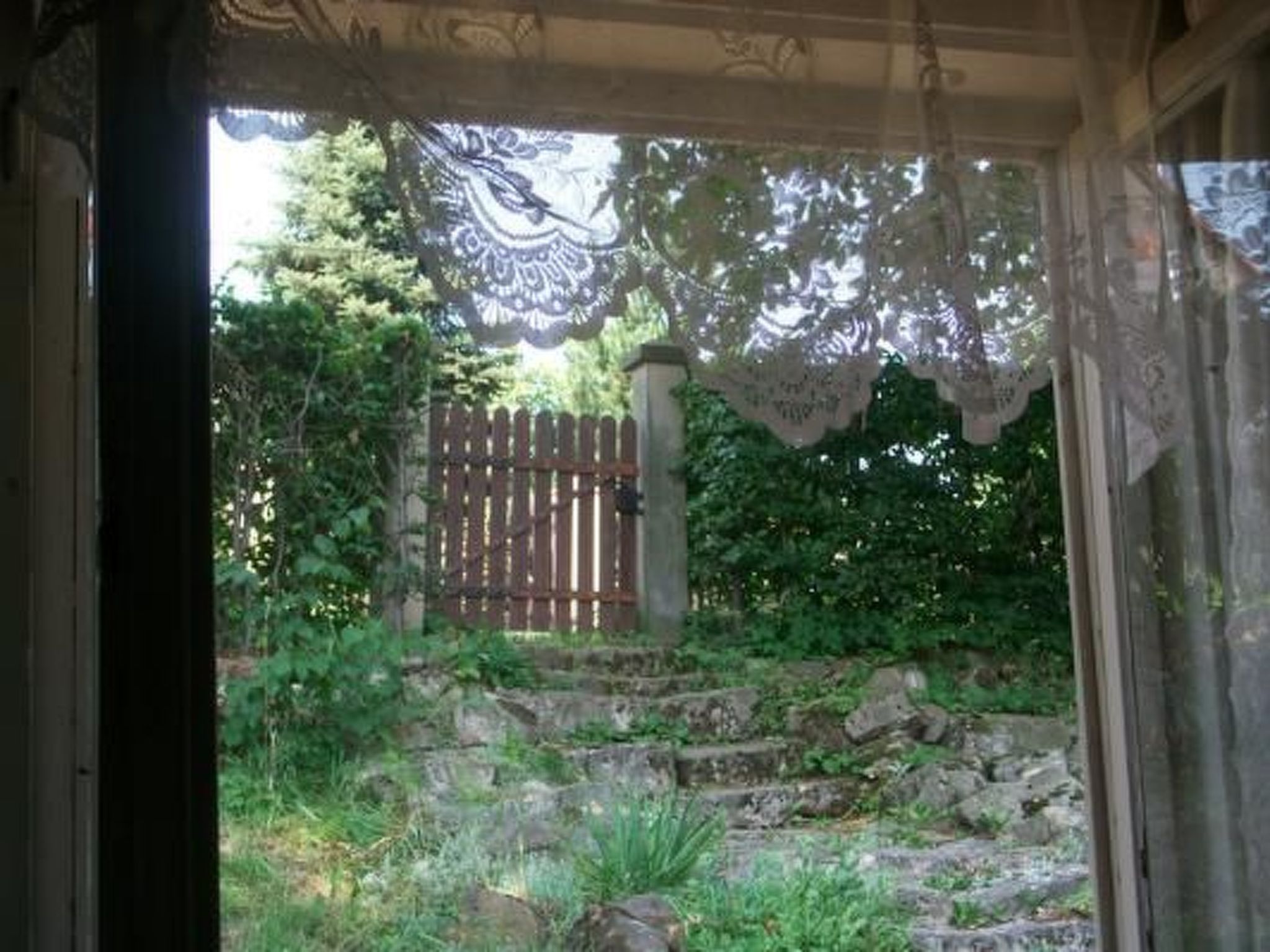 Mit Wasserblick-Image-tags.info