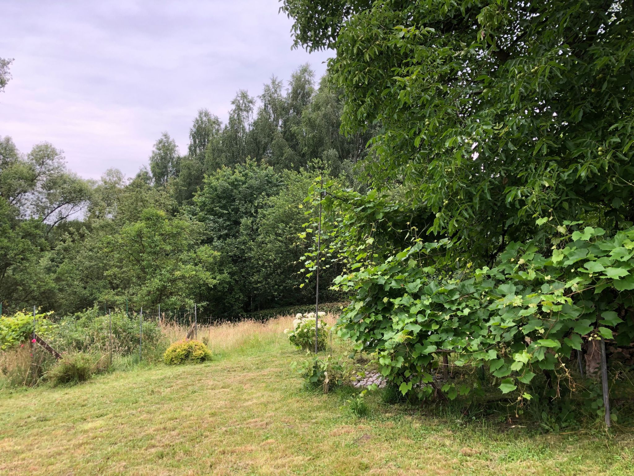 Mit Wasserblick-Image-tags.info