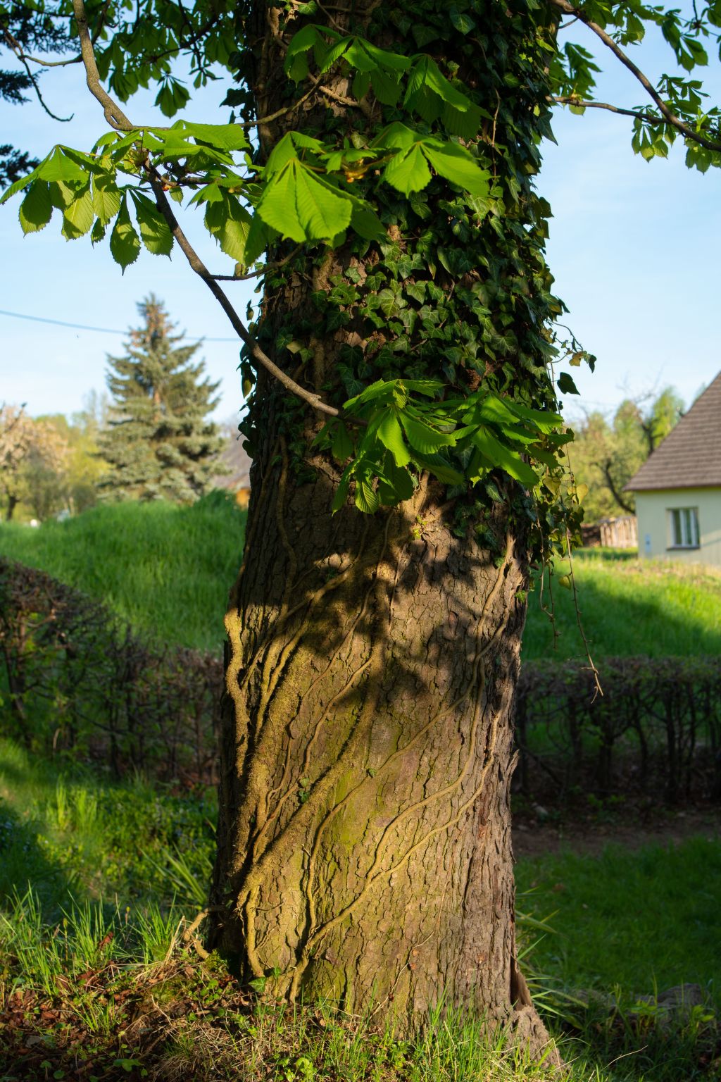 Mit Wasserblick-Image-tags.info