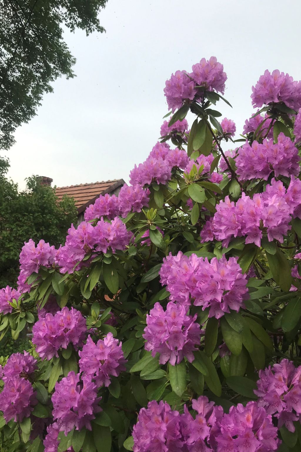 Mit Wasserblick-Image-tags.info