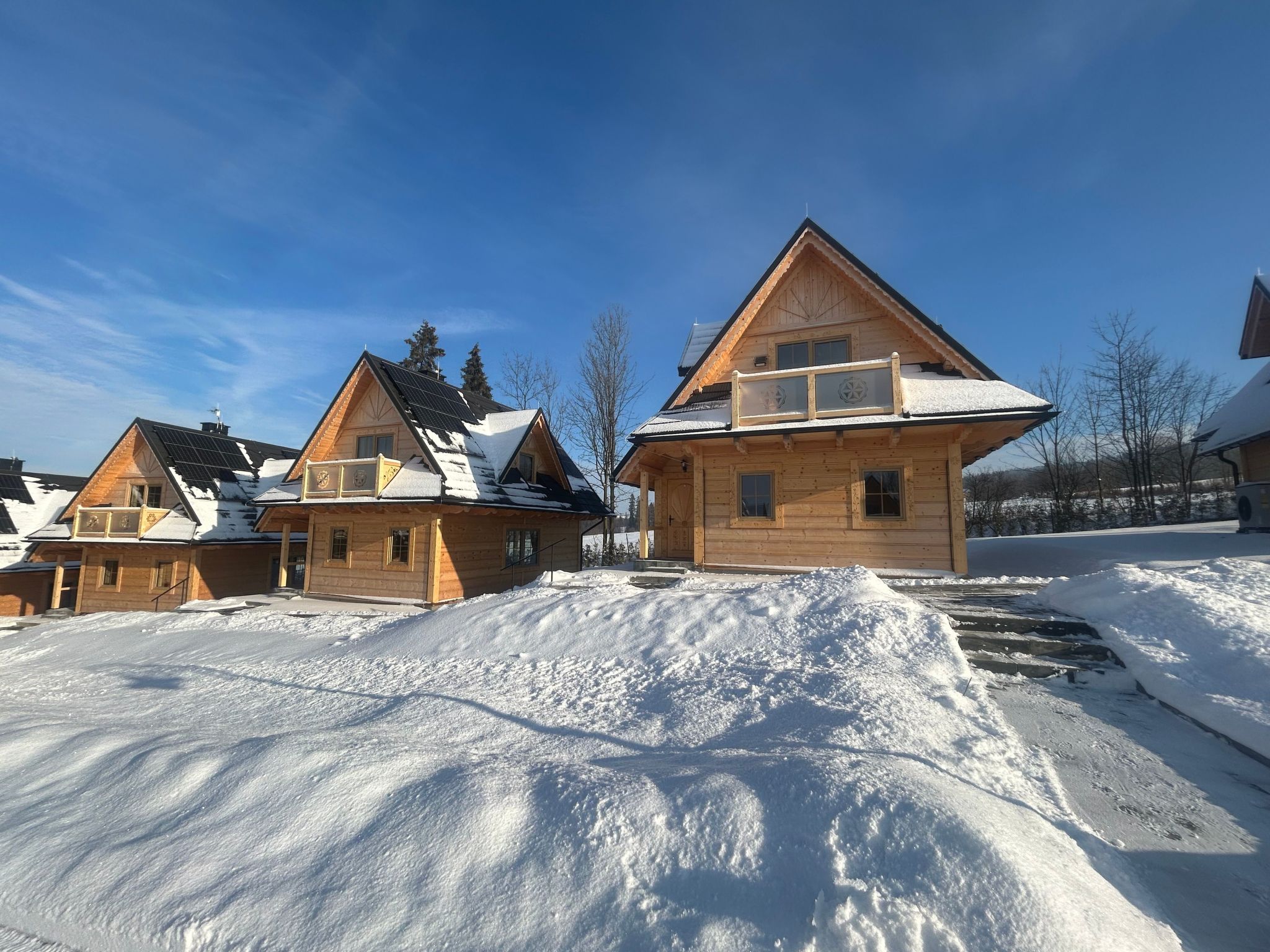 Krokus Tal Dorf unter der Tatra-Draußen