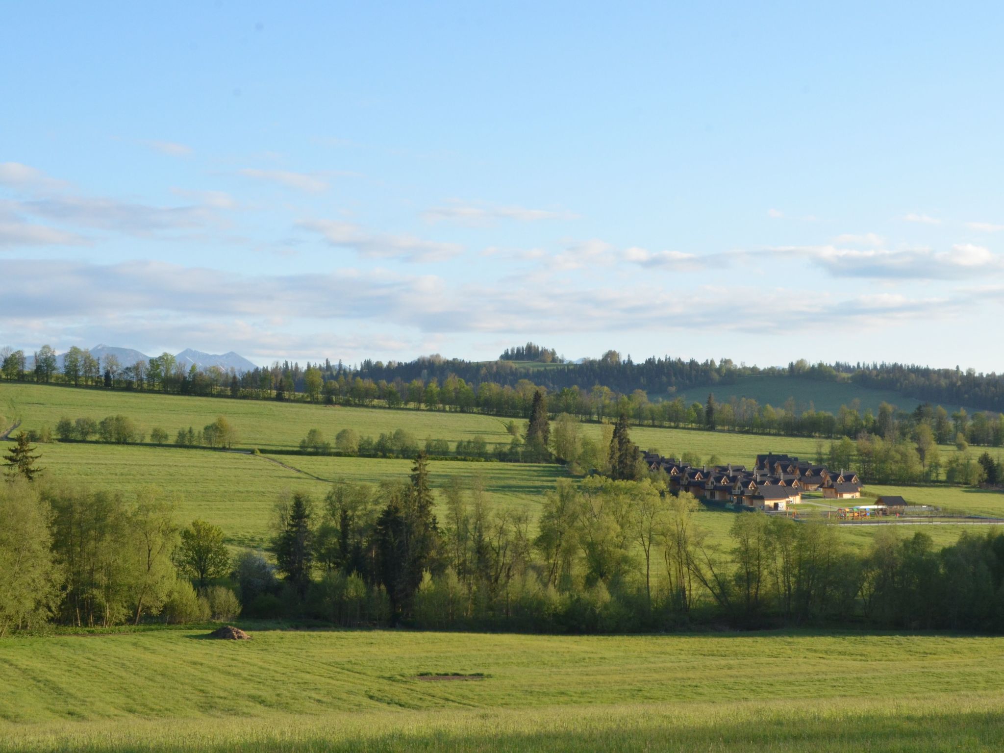 Krokus Tal Dorf unter der Tatra-Draußen