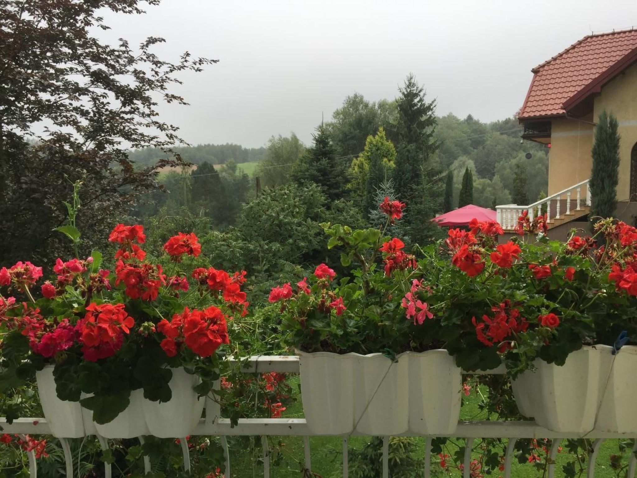 Komfortables Ferienhaus Ewa in Meszna Opacka-Binnen