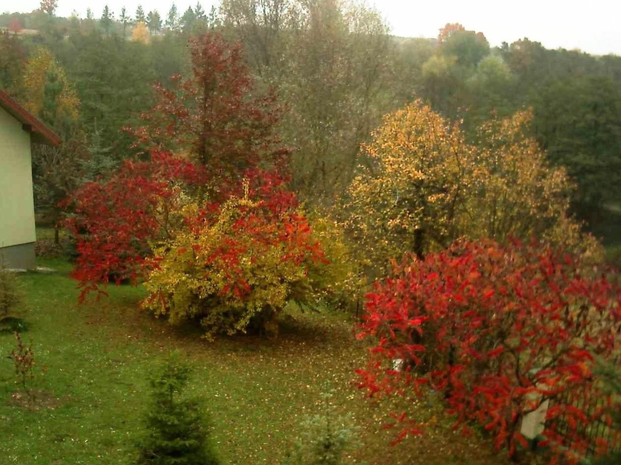 Komfortables Ferienhaus Ewa in Meszna Opacka-Binnen