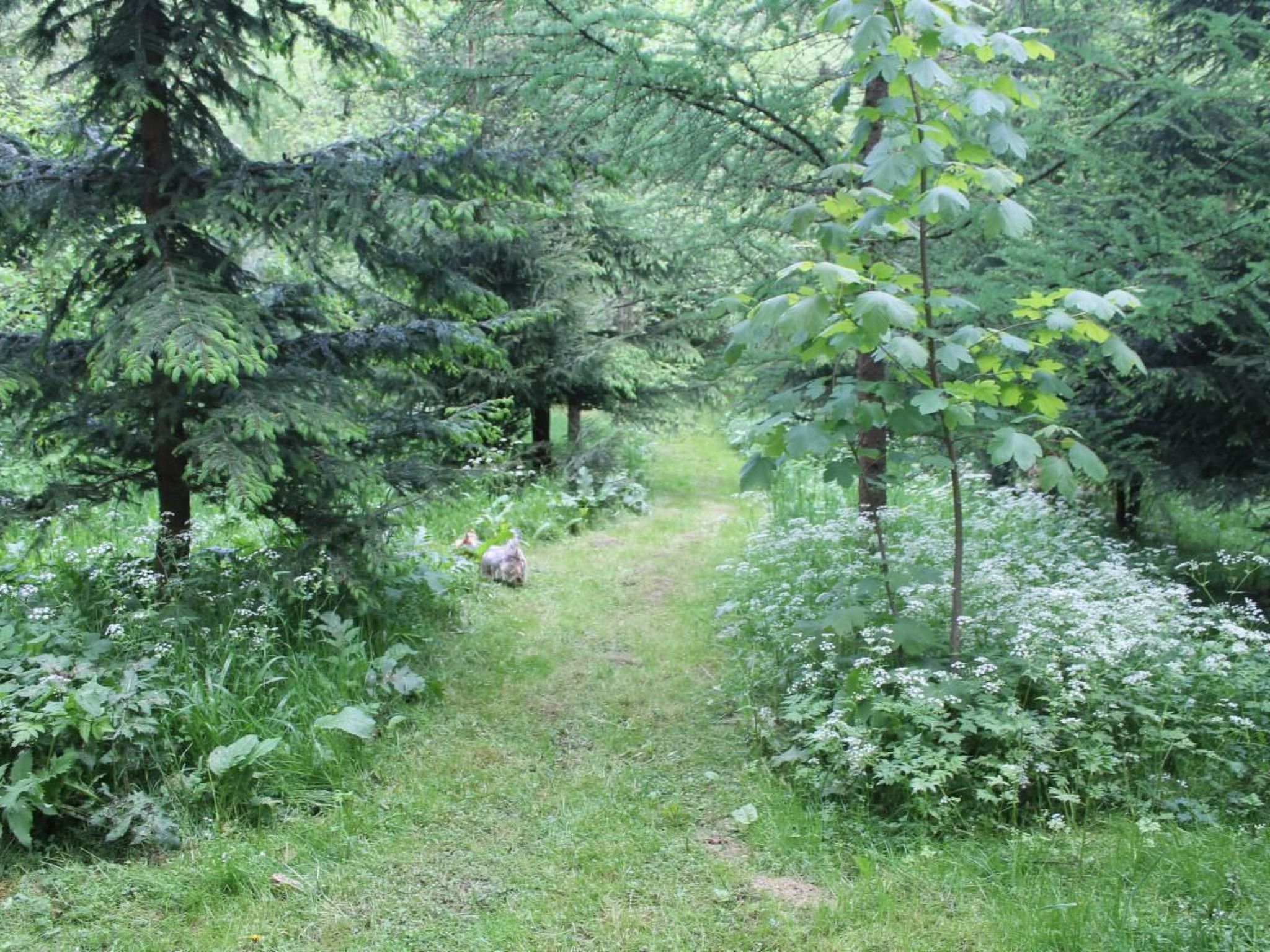 Komfortables Ferienhaus Ewa in Meszna Opacka-Binnen