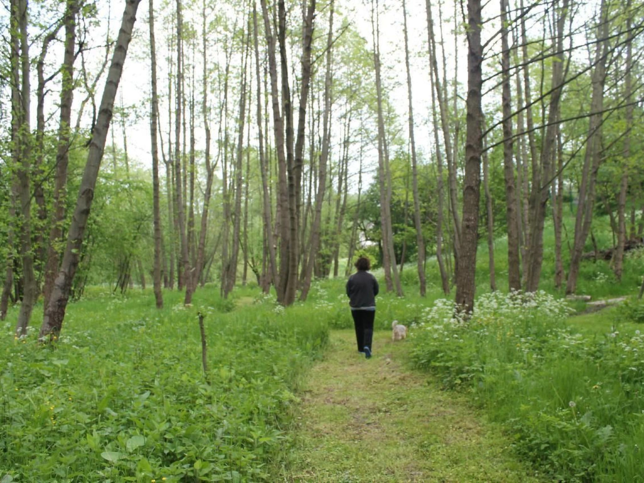 Komfortables Ferienhaus Ewa in Meszna Opacka-Binnen