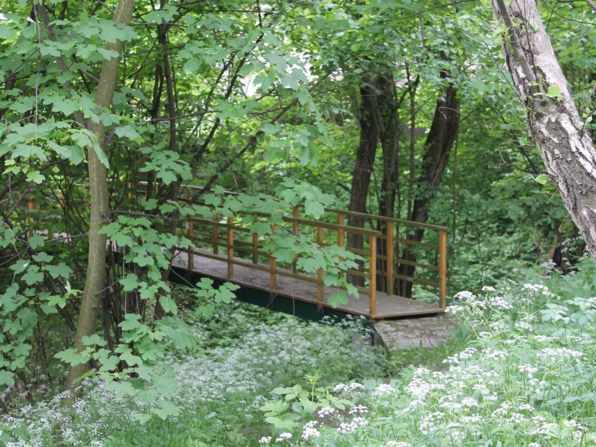 Komfortables Ferienhaus Ewa in Meszna Opacka-Binnen