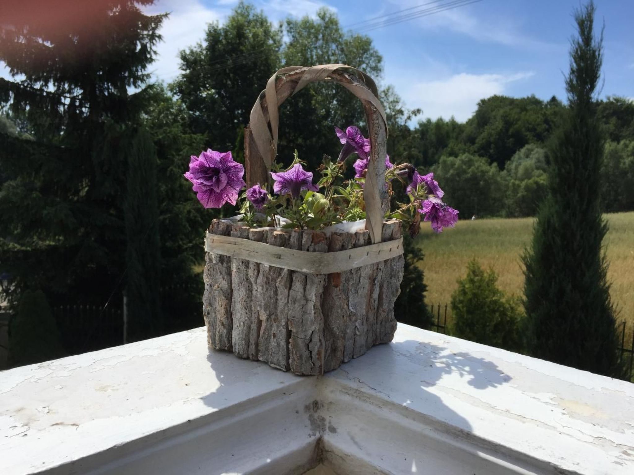 Komfortables Ferienhaus Ewa in Meszna Opacka-Binnen