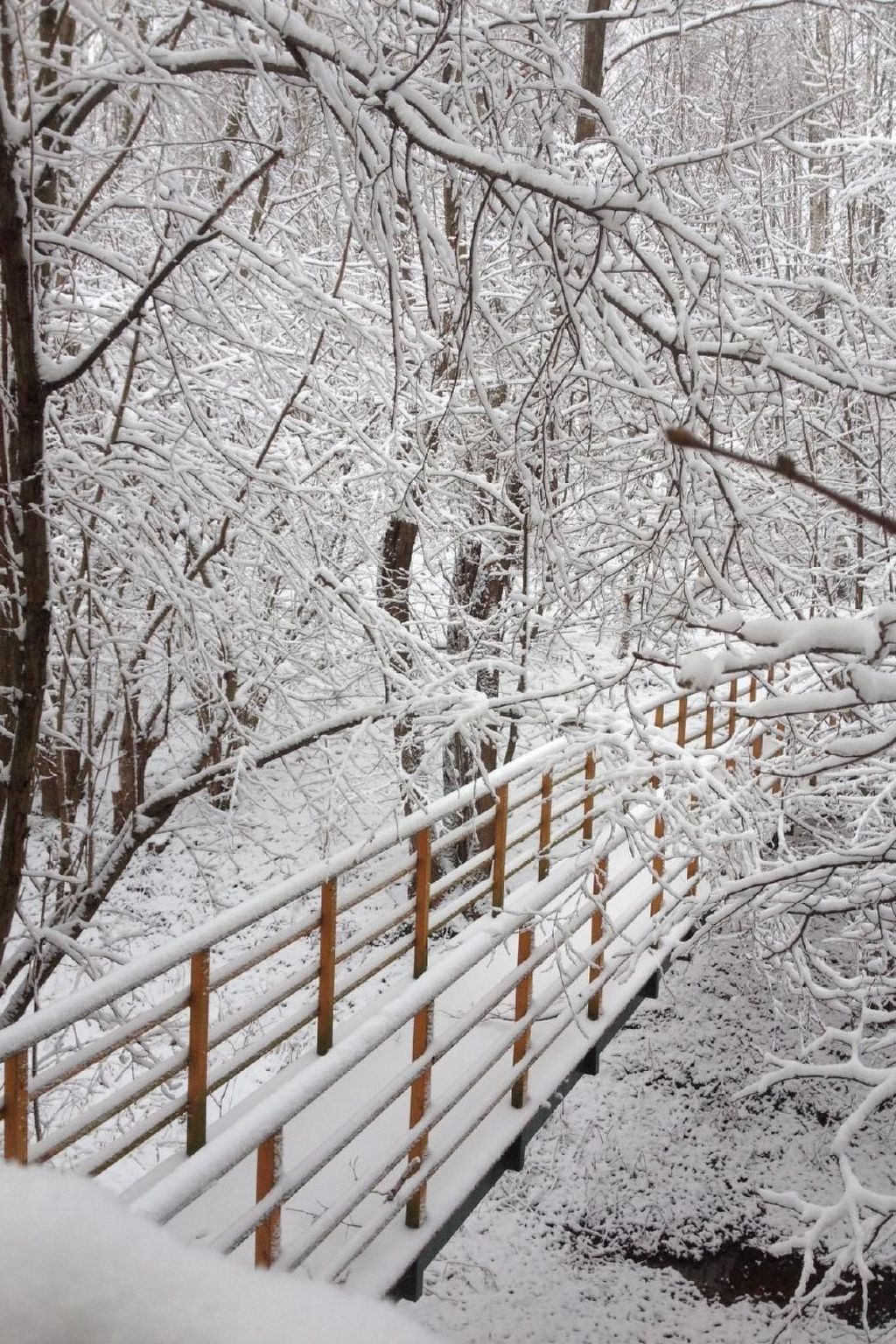 Komfortables Ferienhaus Ewa in Meszna Opacka-Binnen