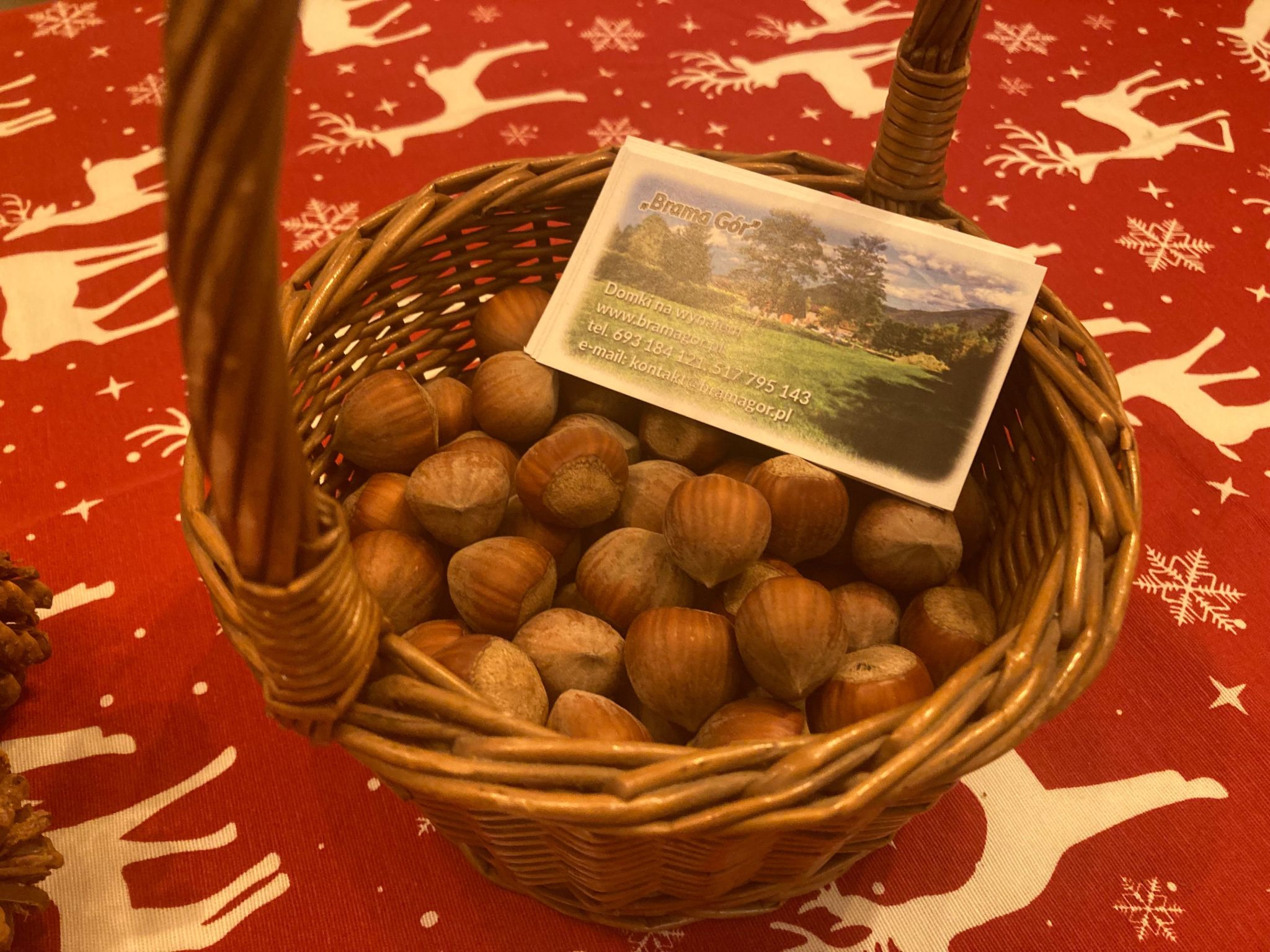 Tor der Berge - Hütte Wolf-Binnen