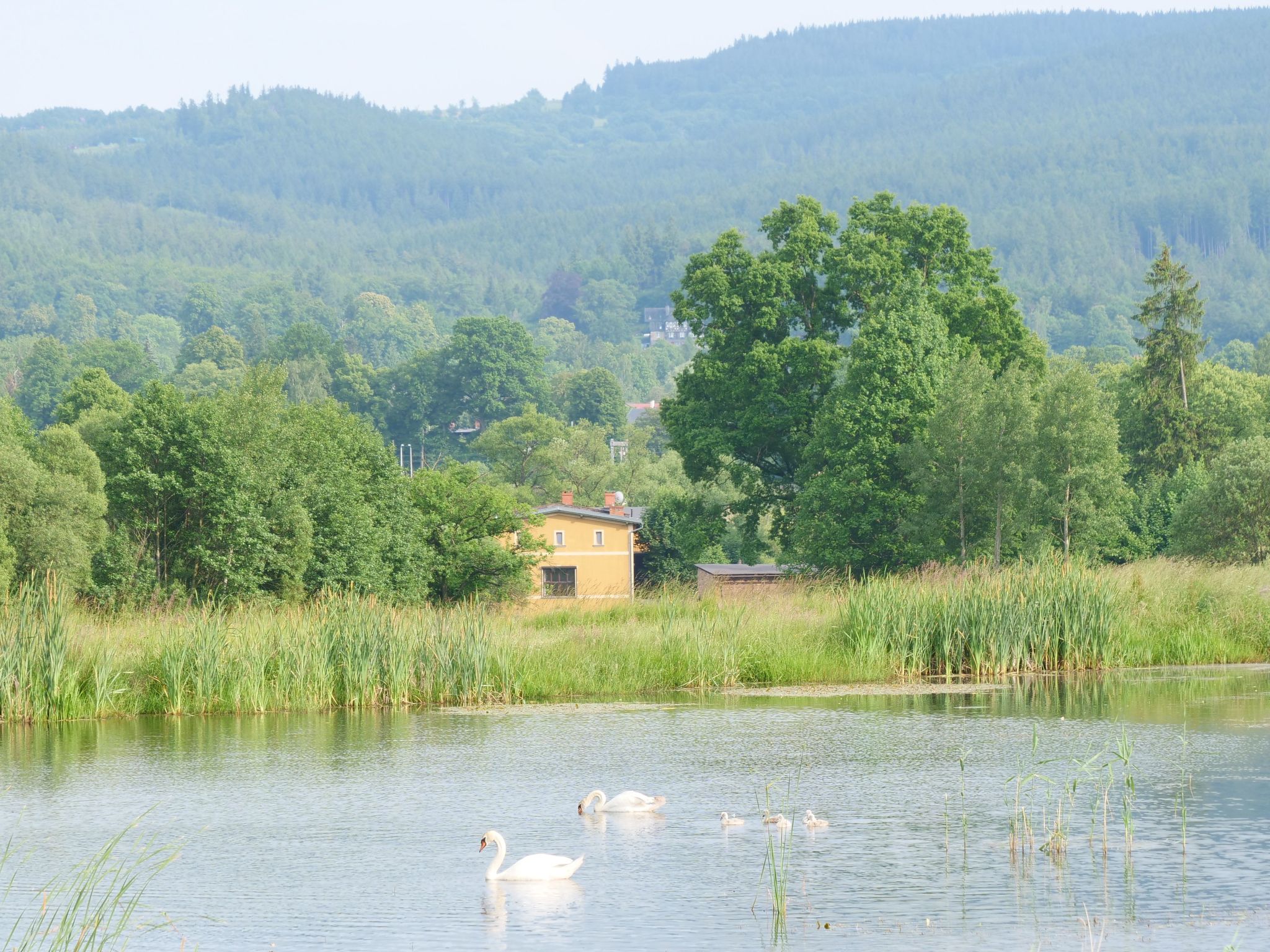 Für Gruppen und große Familien-Binnen