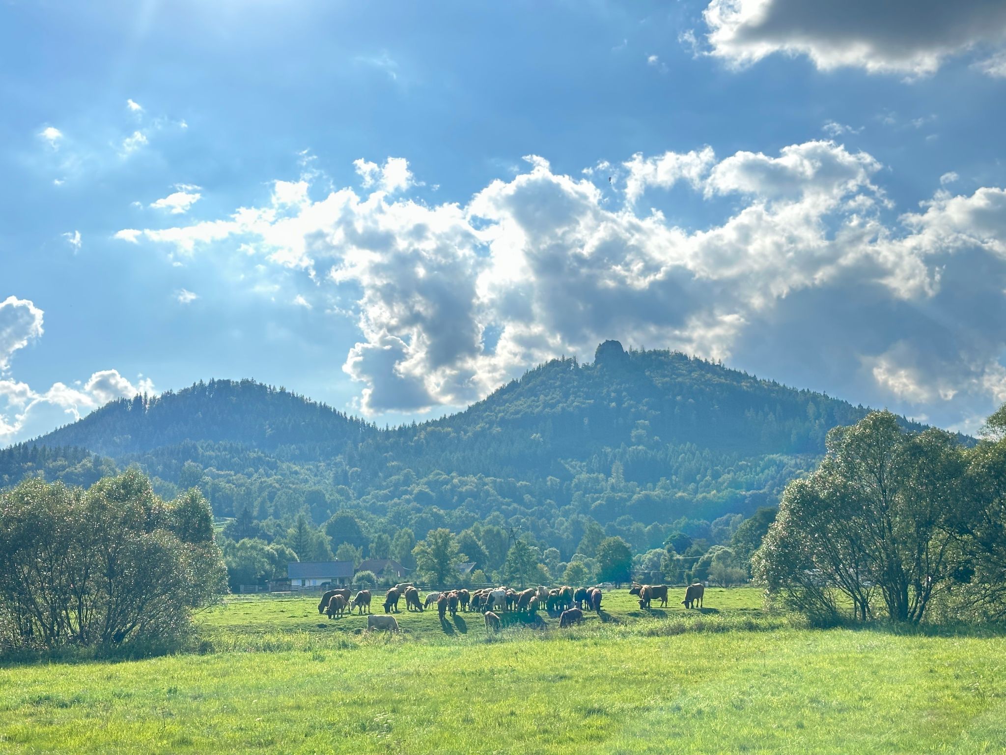 Für eine Familie mit Kindern-Binnen