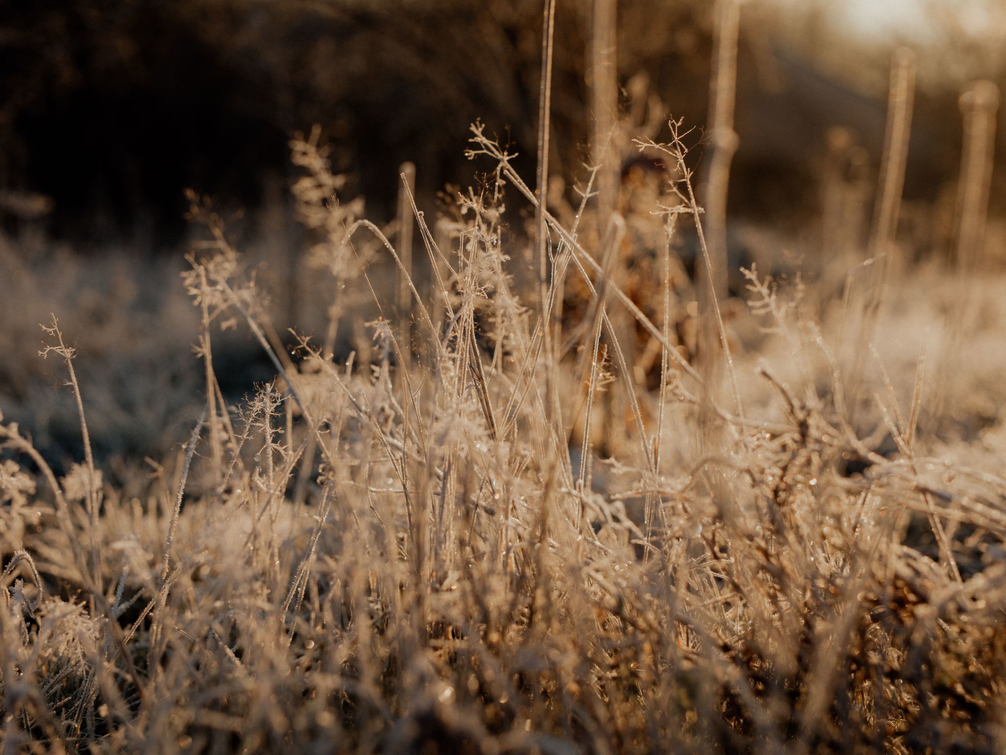 FlowFort - Riesengebirgsblick Spa Wellness-Dedans