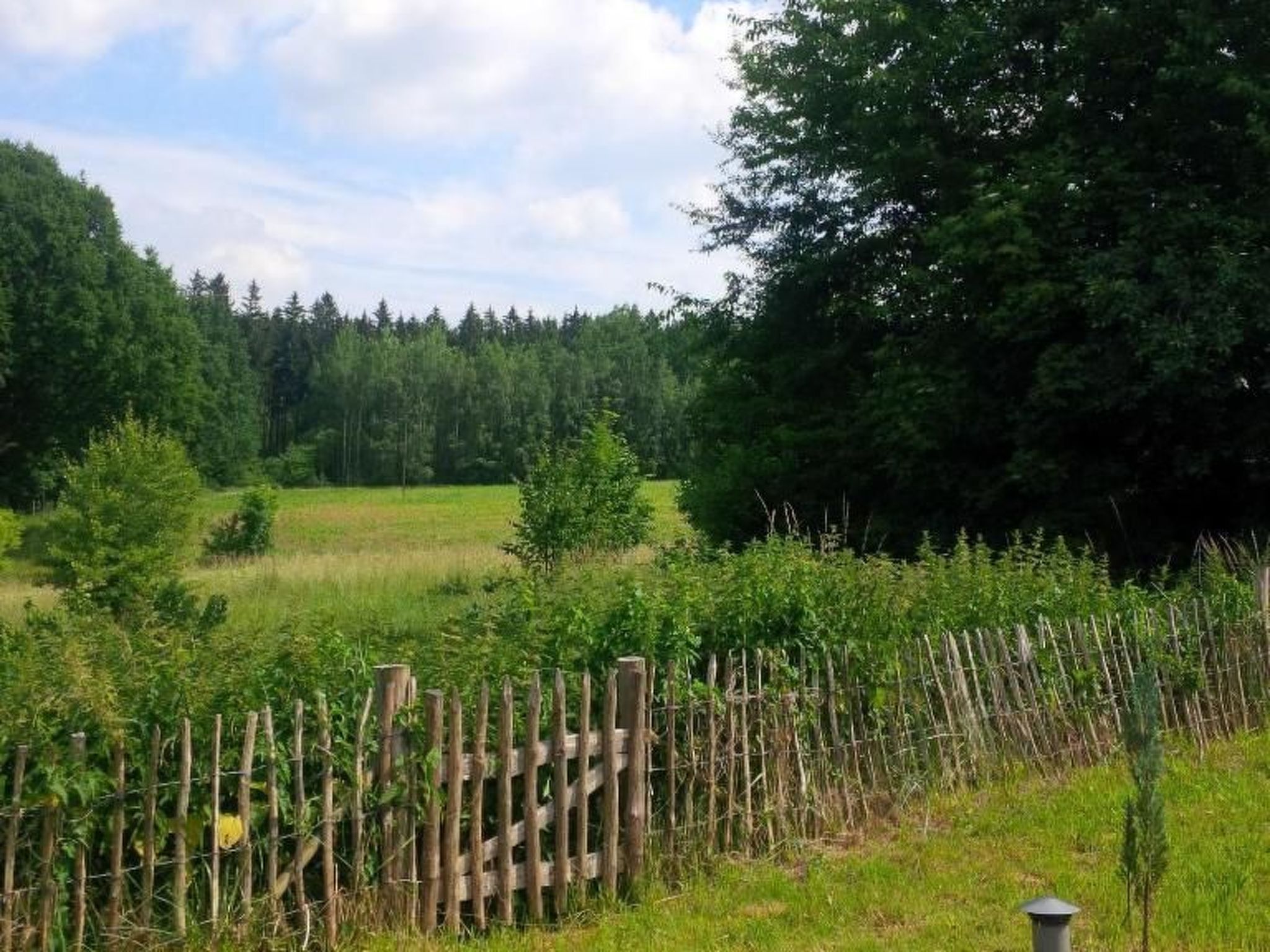 Nasze Chabazie-Inside