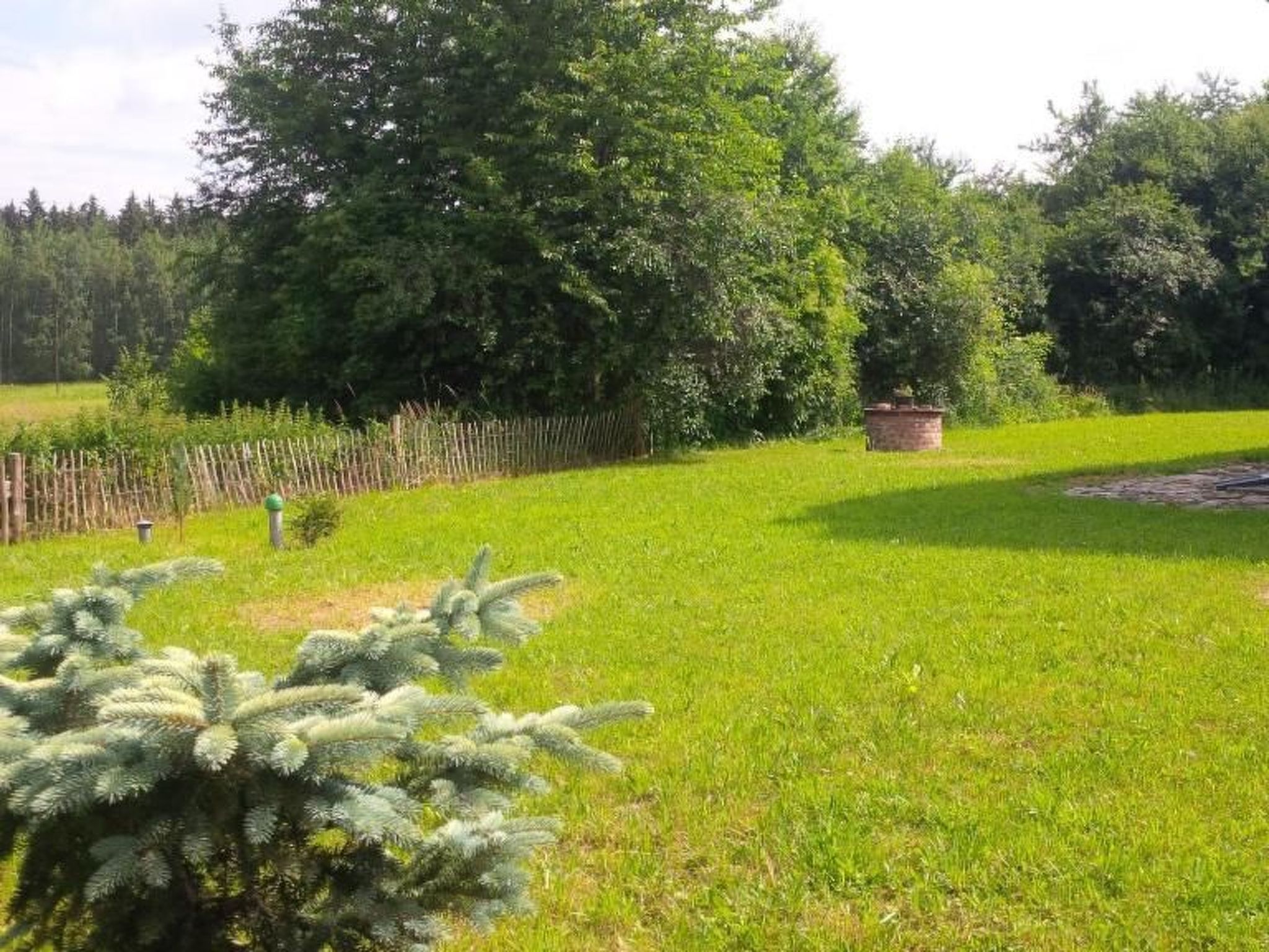 Nasze Chabazie-Inside