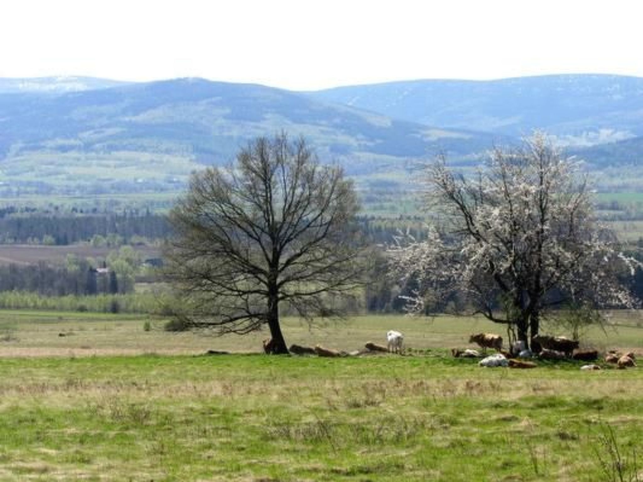 In Gajówka mit Terrasse und Garten-Inside