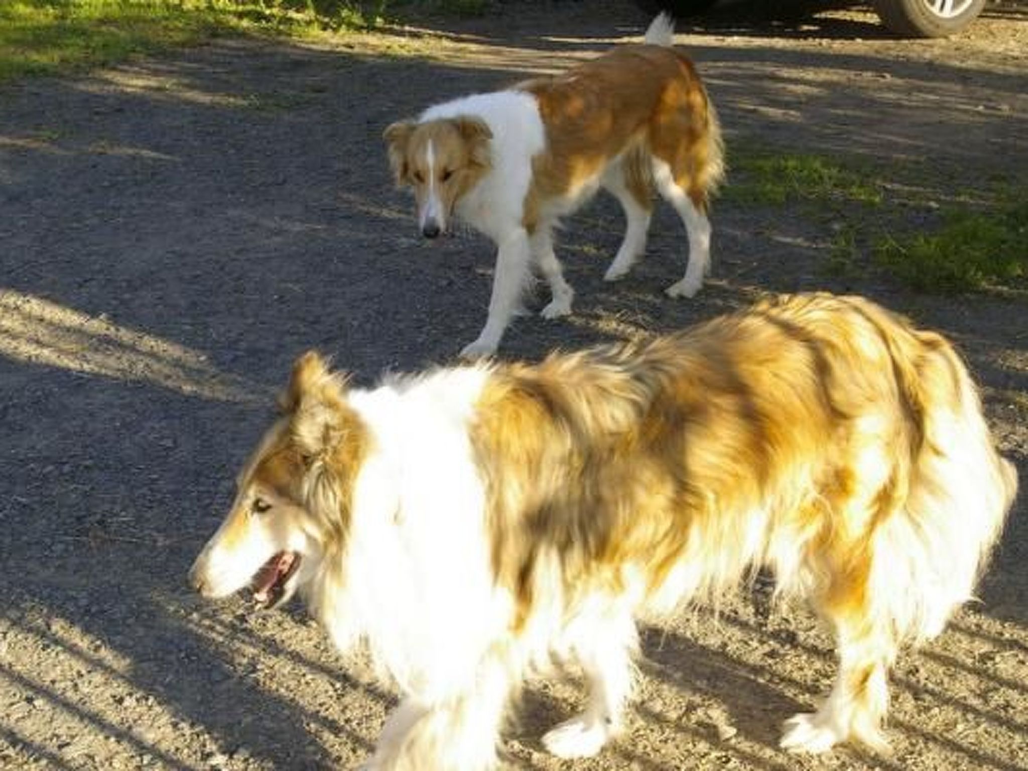 Blockhaus in Gajówka mit Kaminofen-Inside