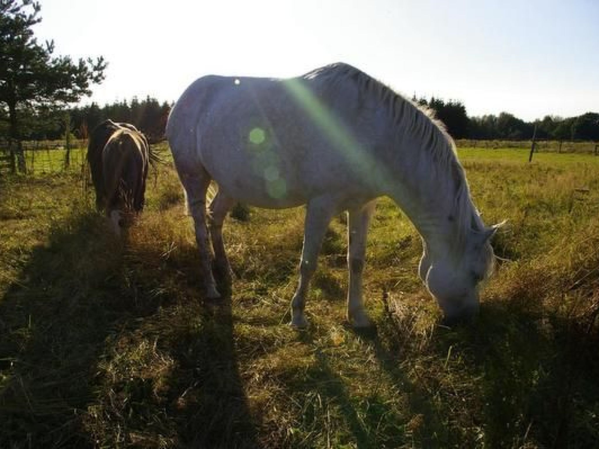 Blockhaus in Gajówka mit Kaminofen-Inside