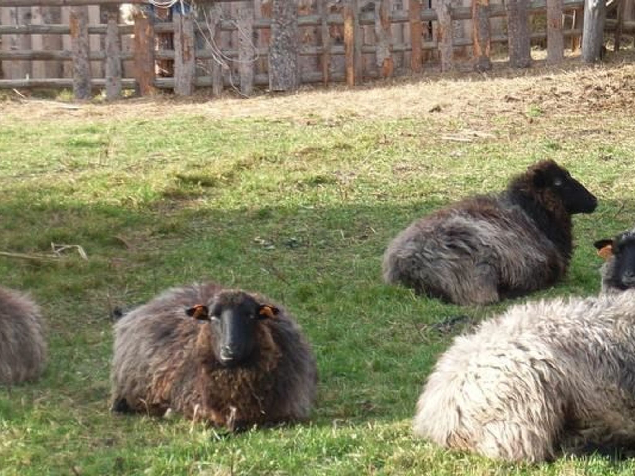 Blockhaus in Gajówka mit Kaminofen-Inside