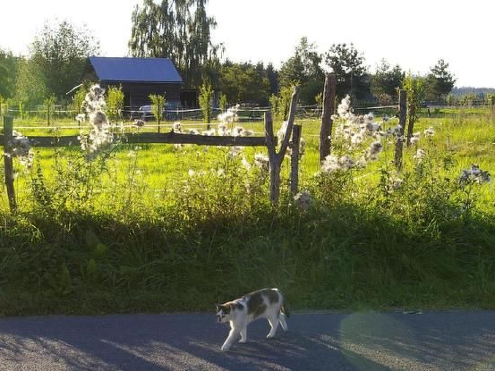 Blockhaus in Gajówka mit Kaminofen-Inside