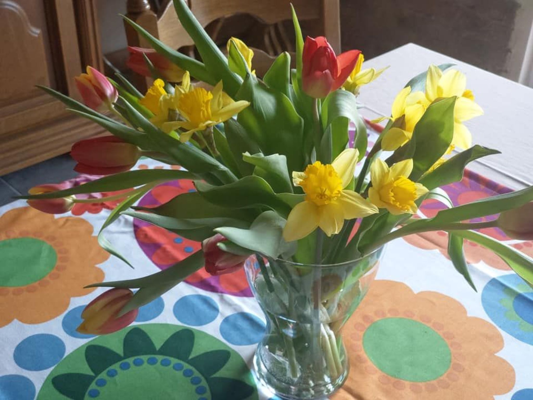 Ganzes Haus zur alleinigen Nutzung im Herzen des Zielonka-Waldes-Binnen
