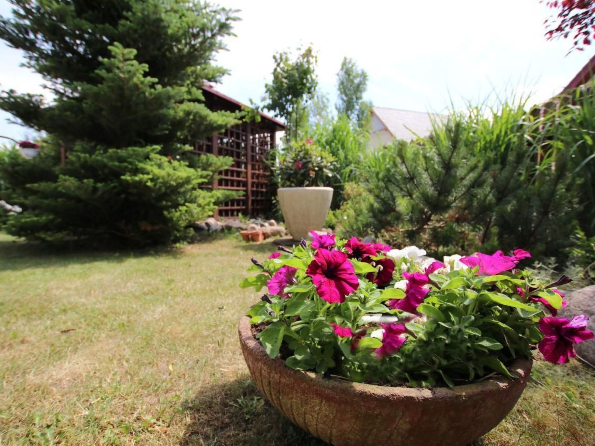 Ap.4-Image-tags.info